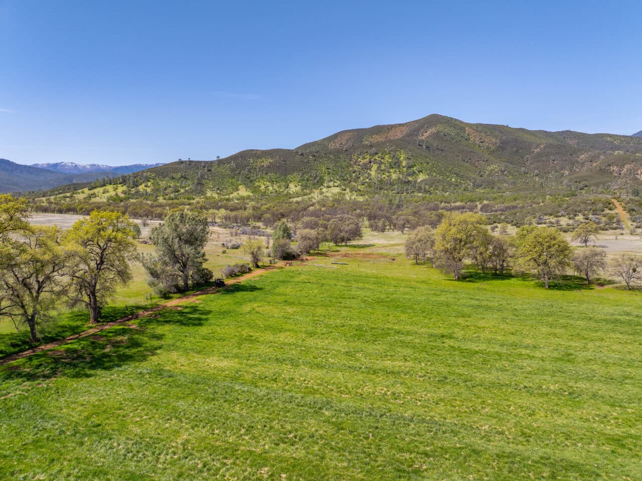 Listing Image 63