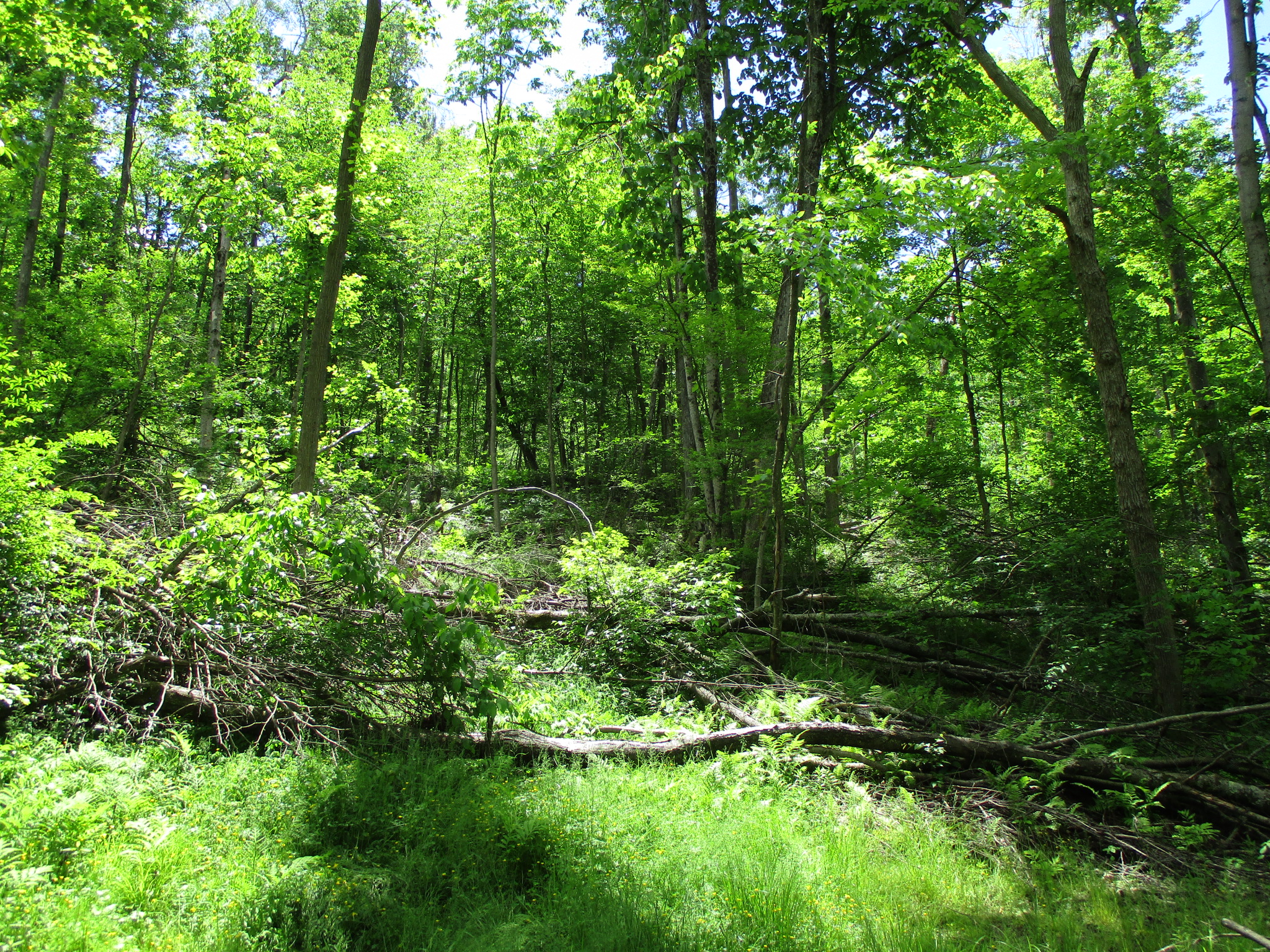 Listing Image 14