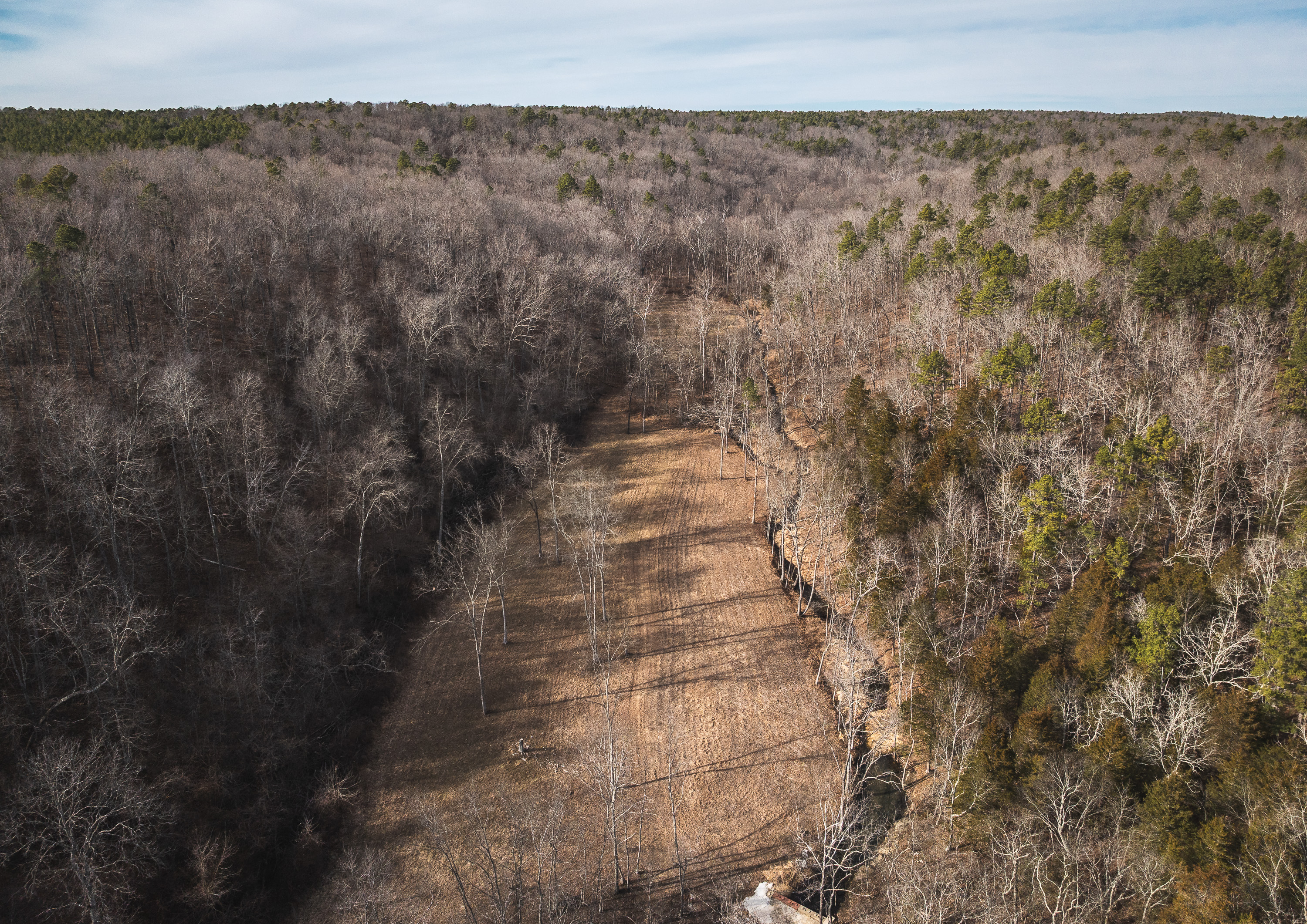 Curly Hole Camp at Peterball Spring