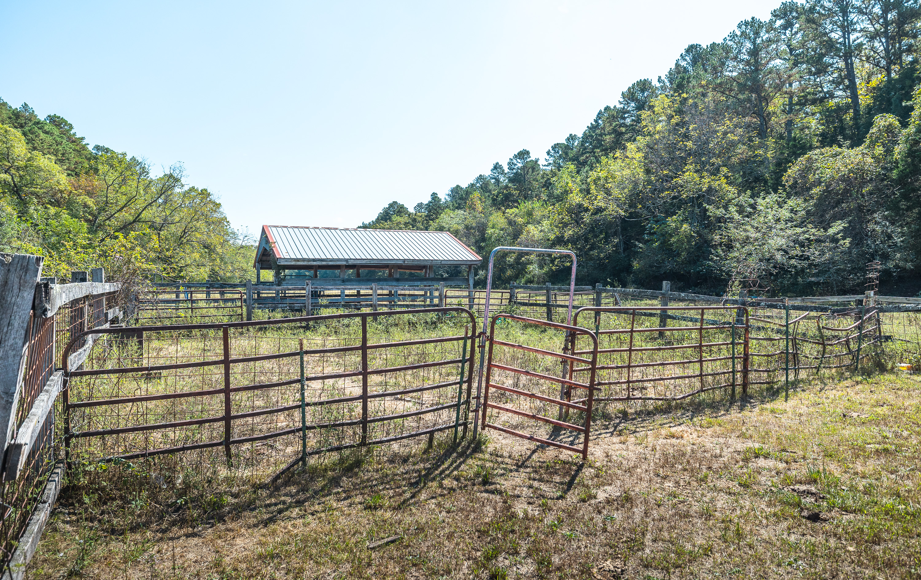 Ashley Creek Ranch 329