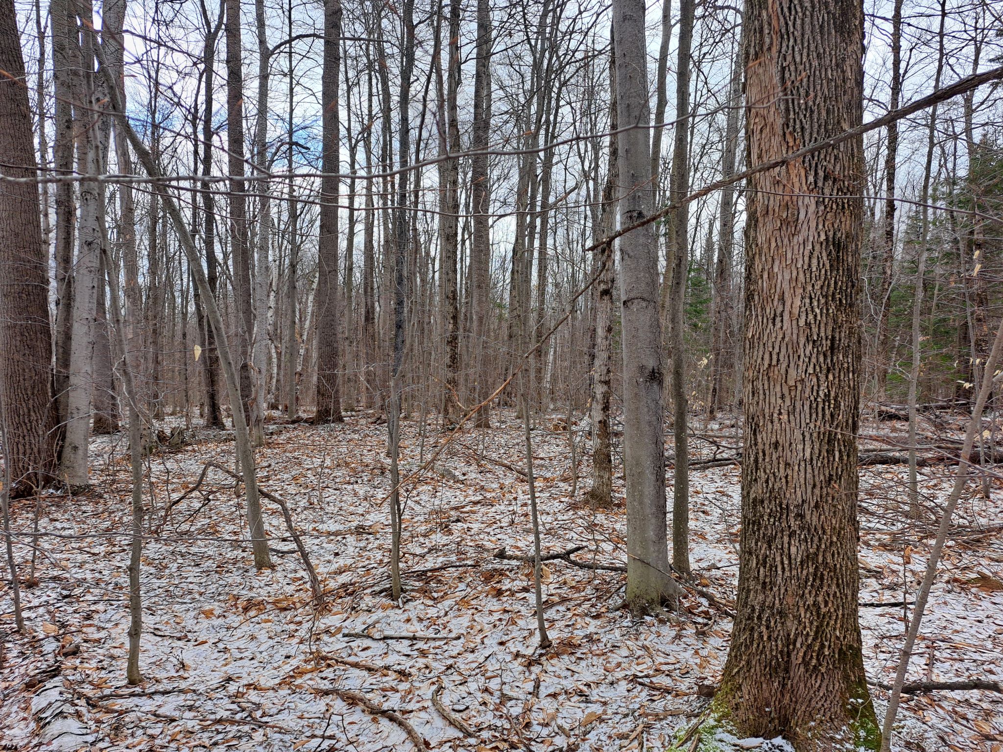 Listing Image 21
