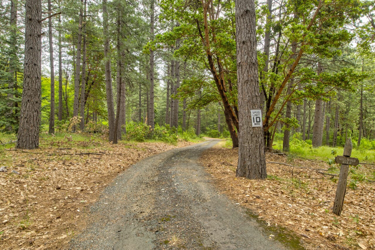 Foresthill Divide