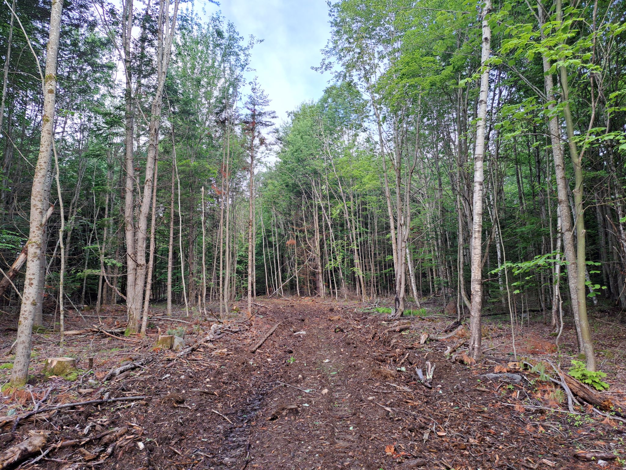 Listing Image 81