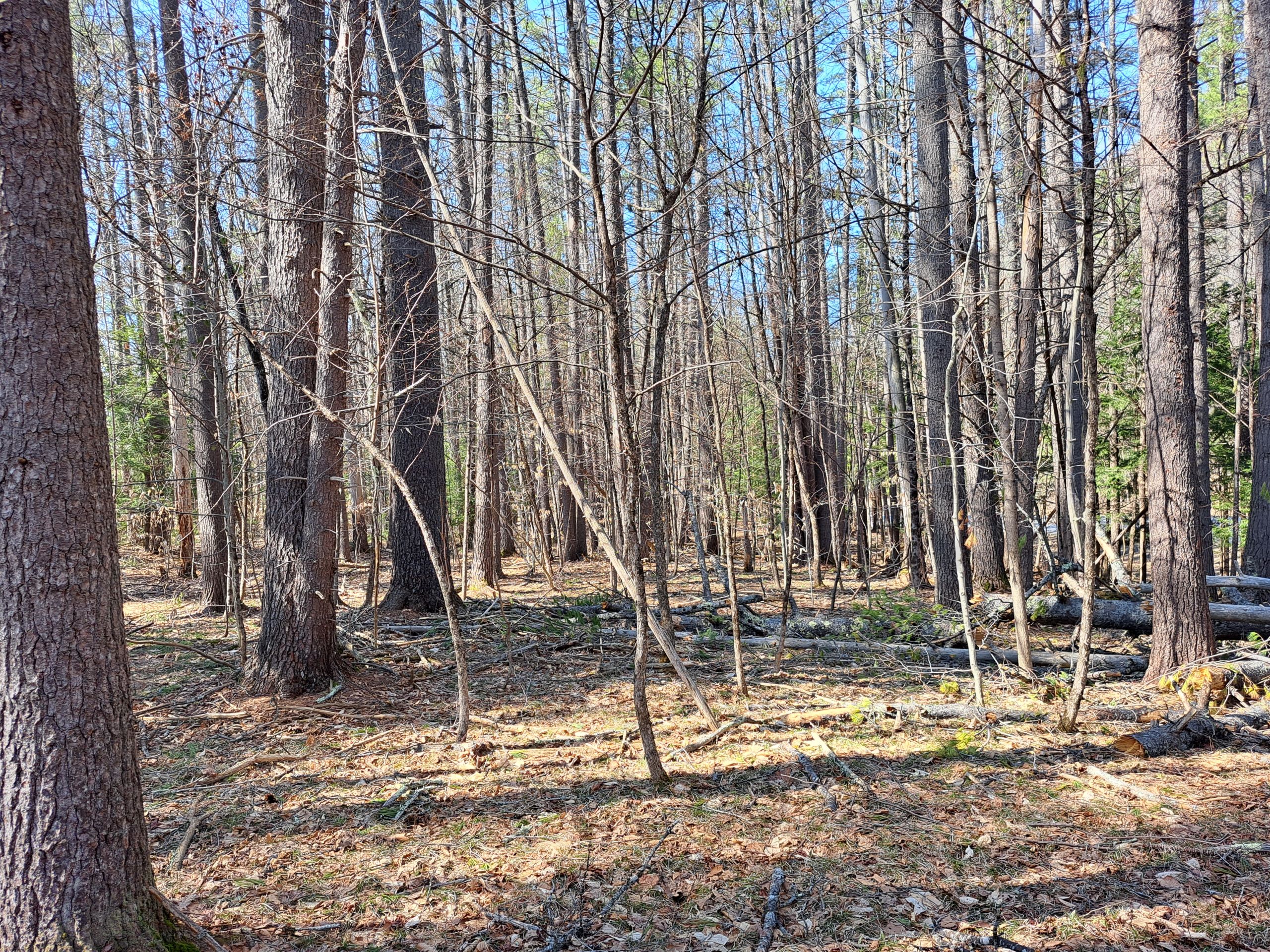 Listing Image 24