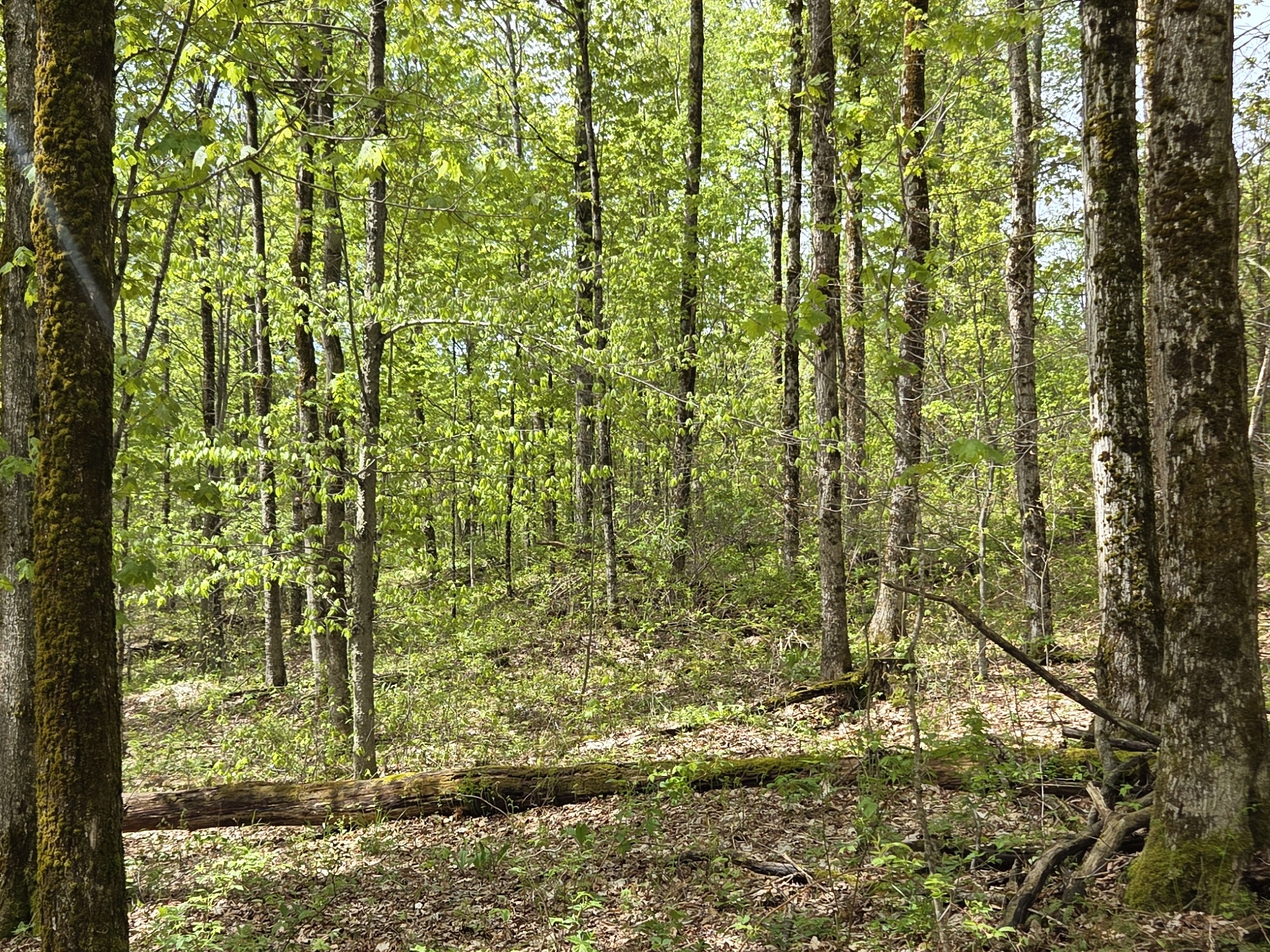 Listing Image 47