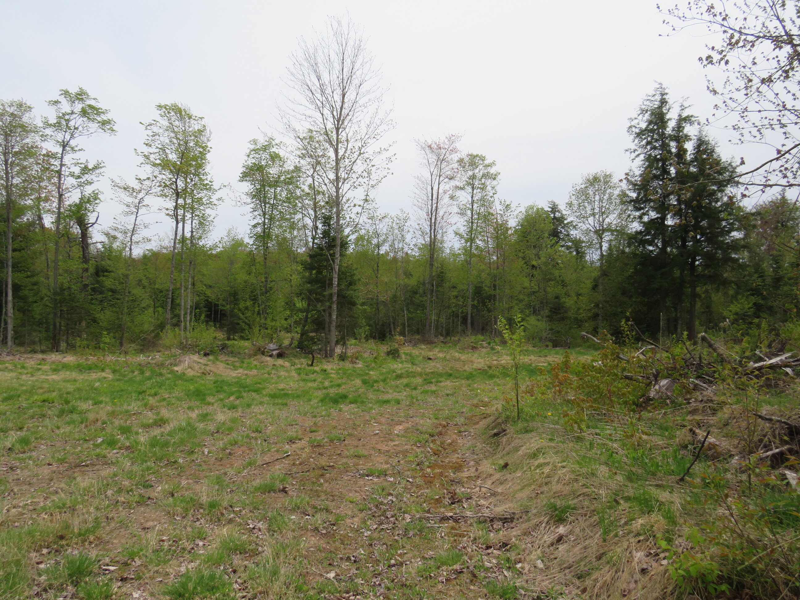 Michigan Recreational Property 50165363