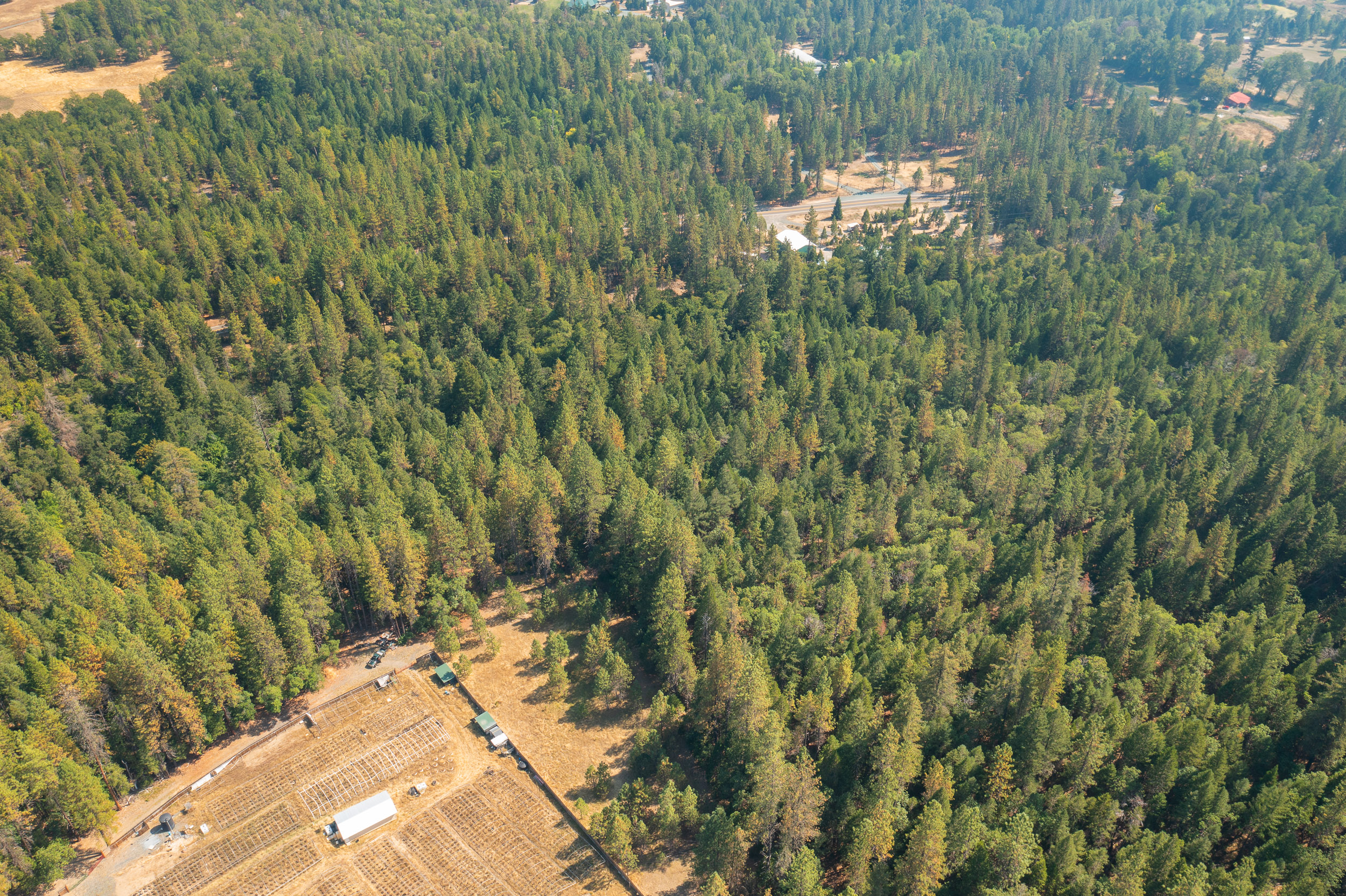 Pleasant Creek Road TL301