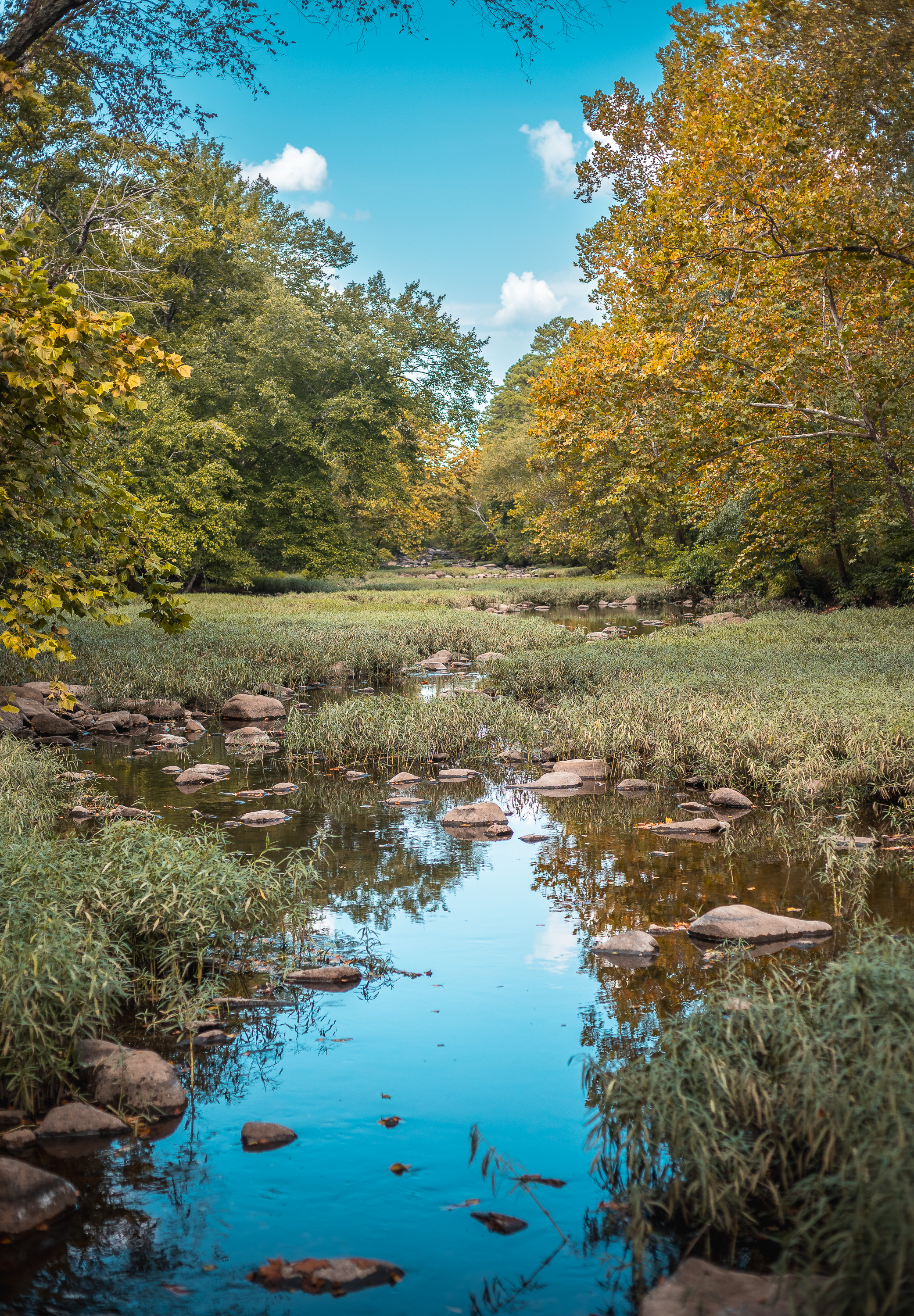 420 Acre Farm on Stouts Creek