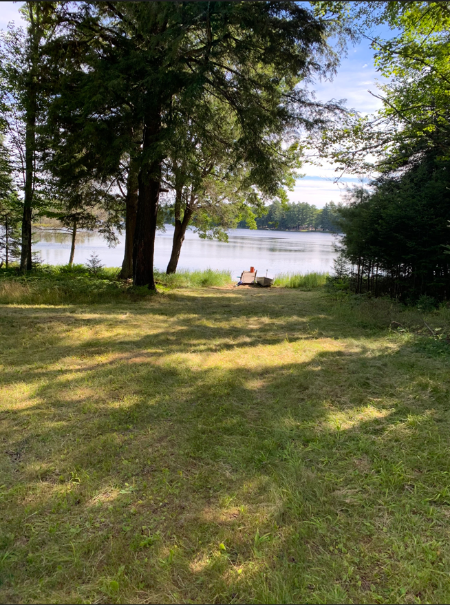 U.P. Robinson Lake Parcel 50167828