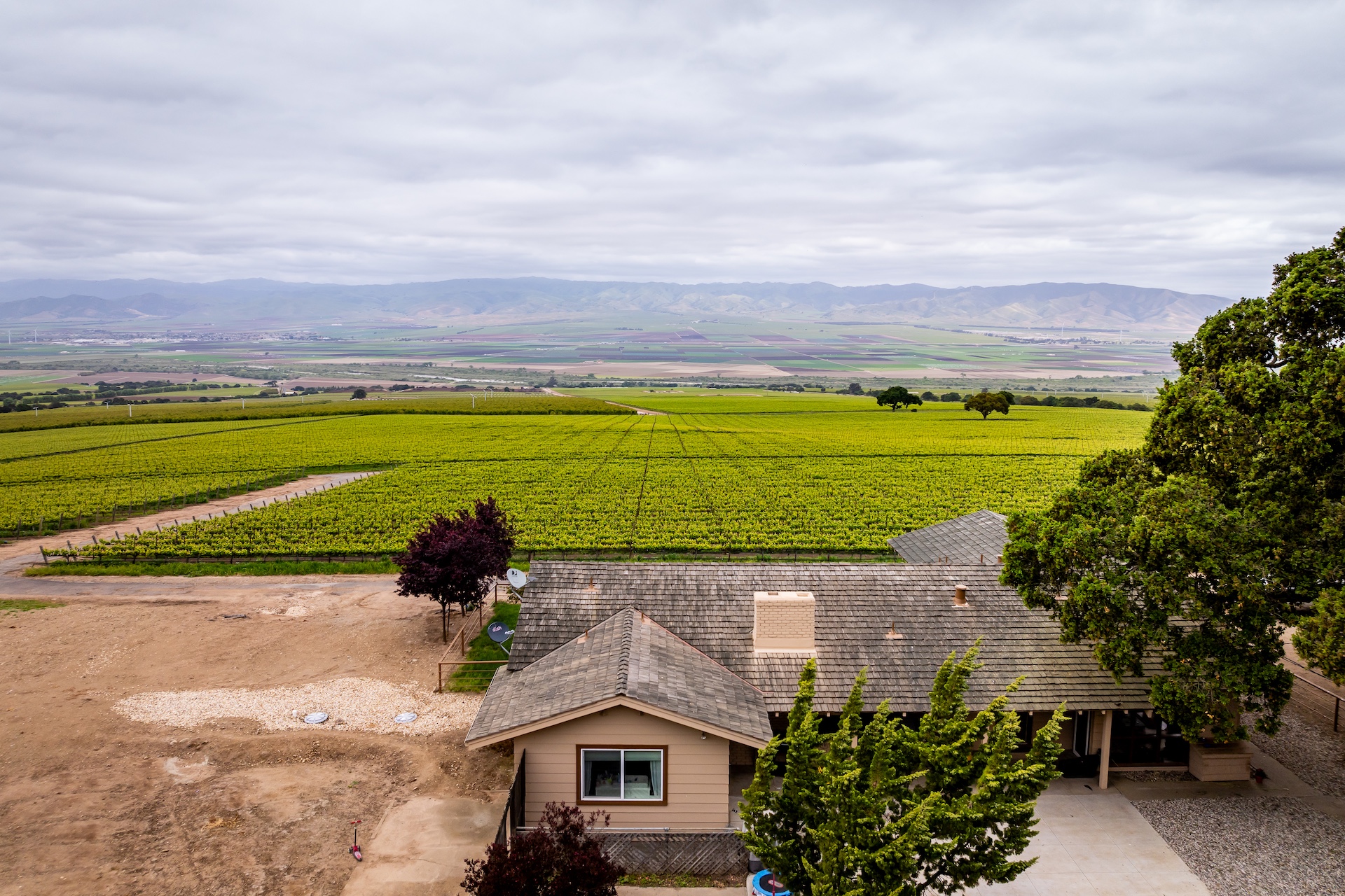 Boekenoogen Santa Lucia Highlands Vineyard