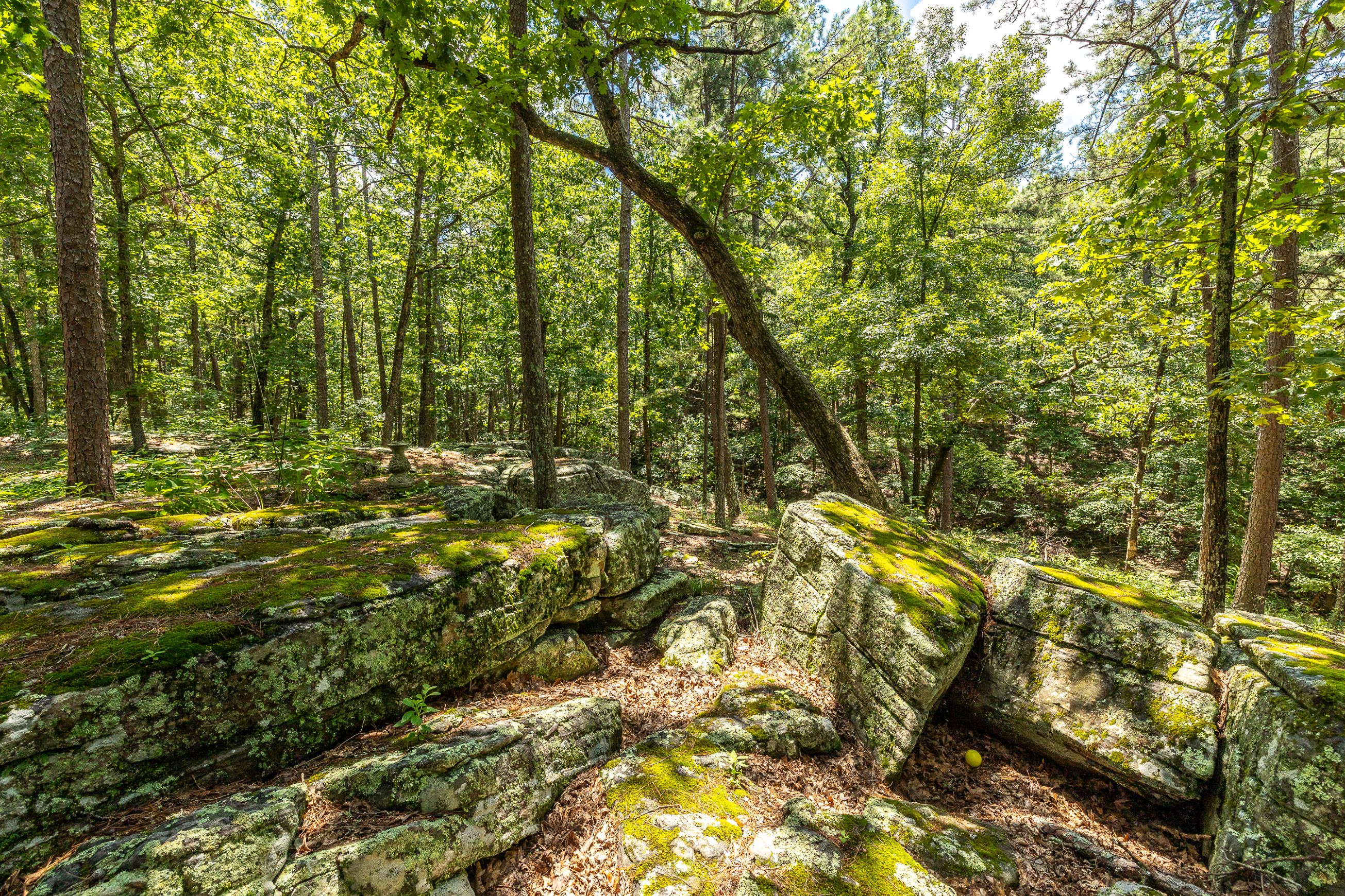 Boulder Pine Hollow