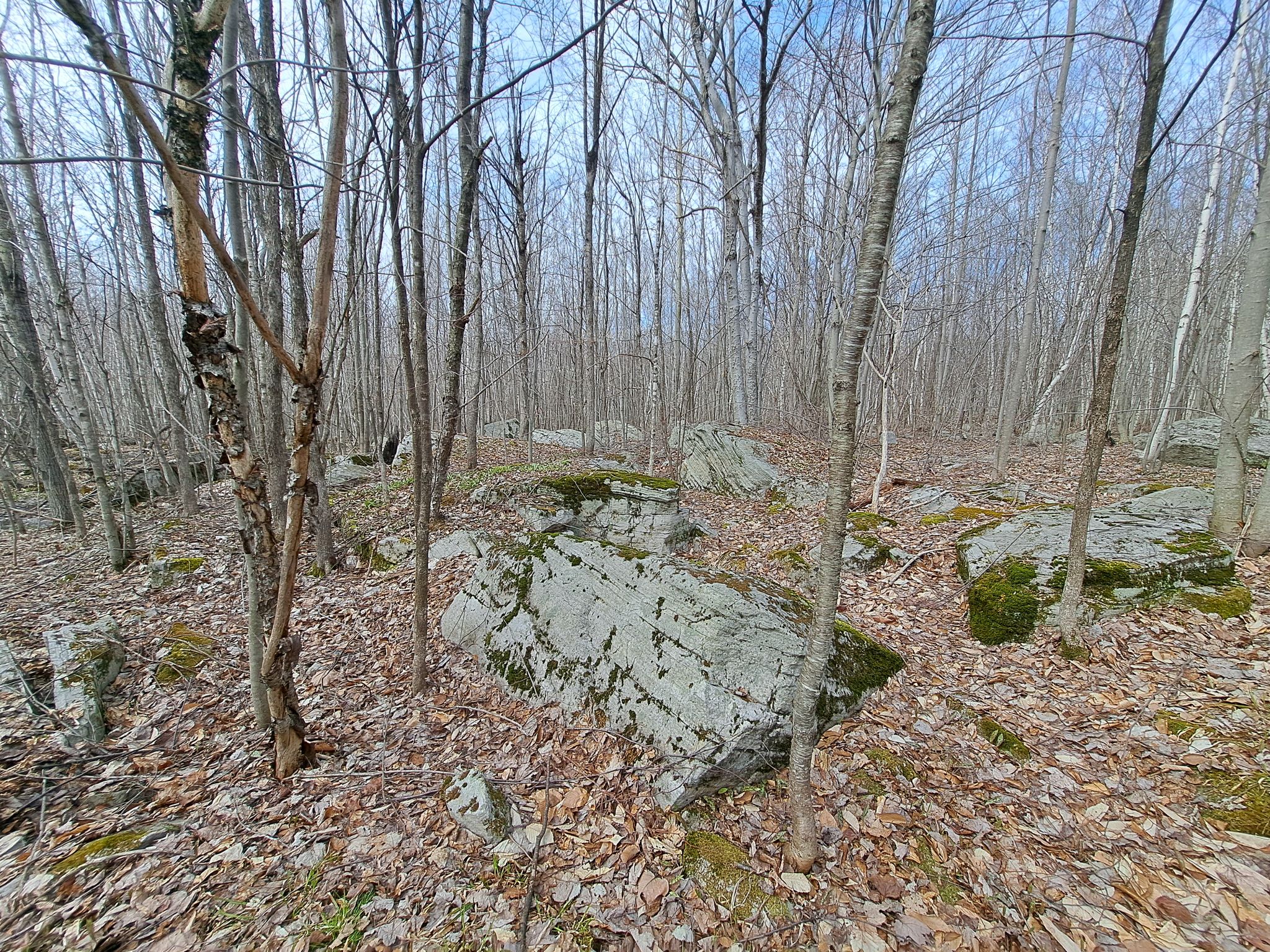 Listing Image 33