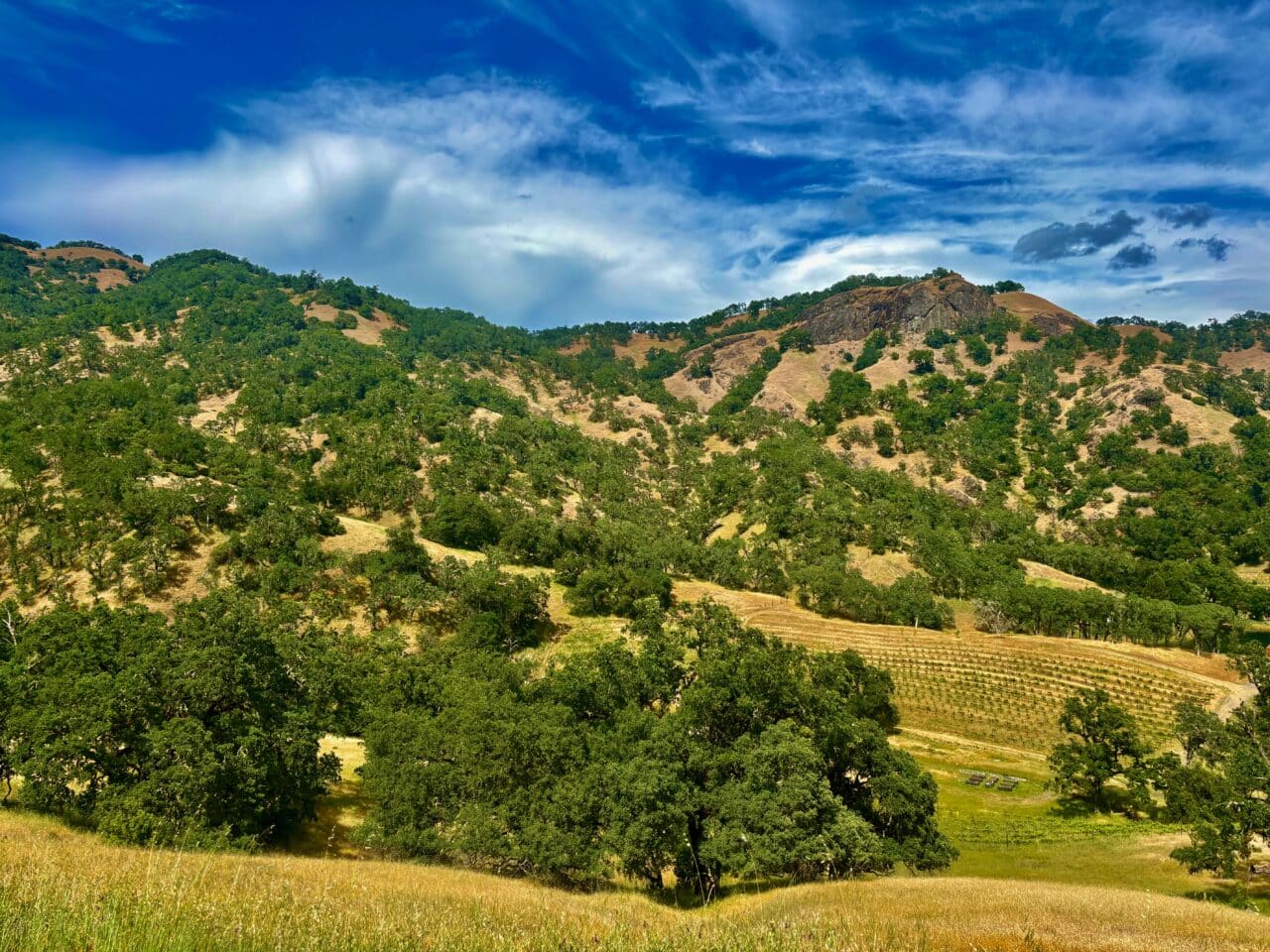 McNab Crag Ranch