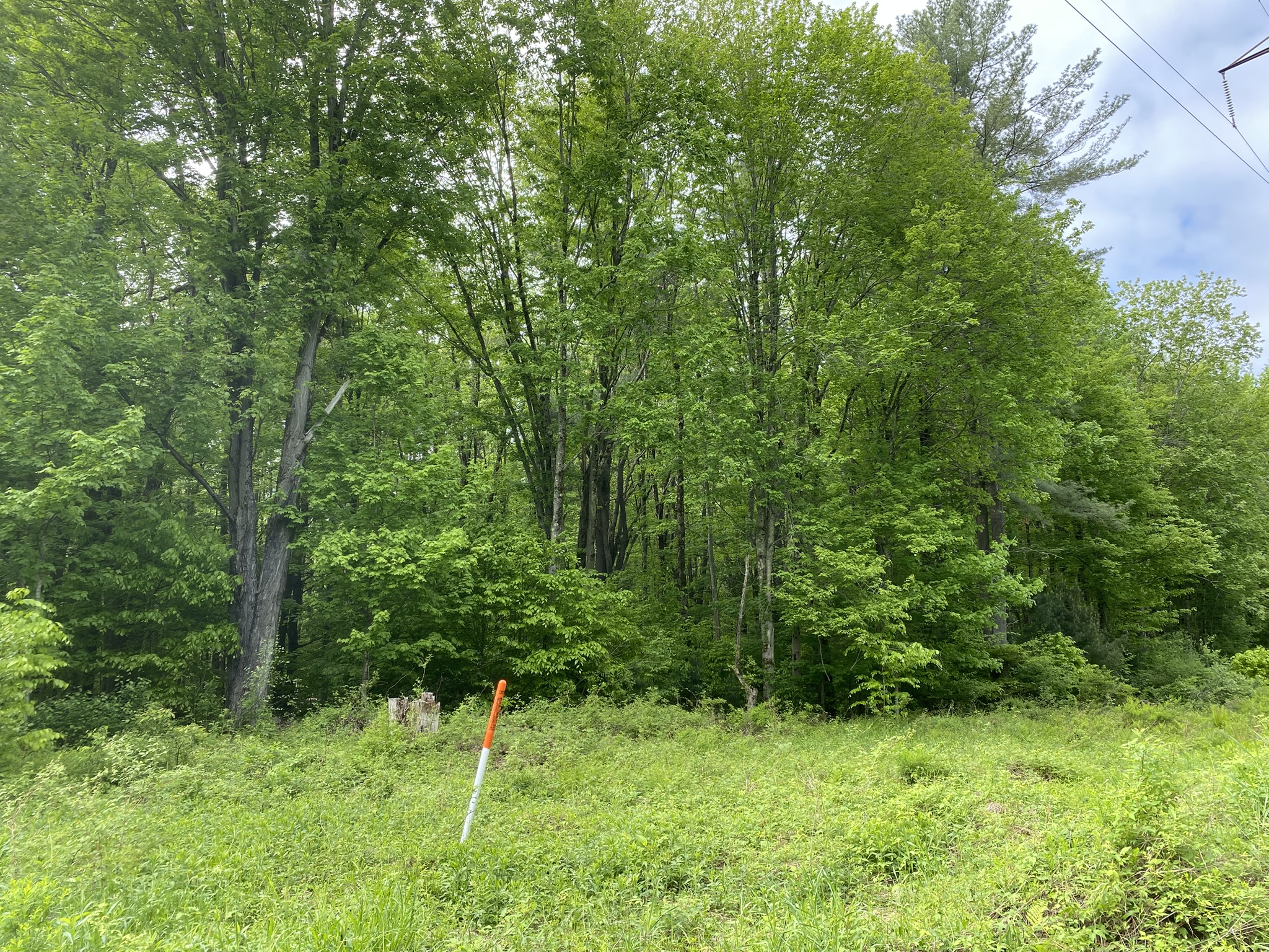 Salmon River Country "Back 40"
