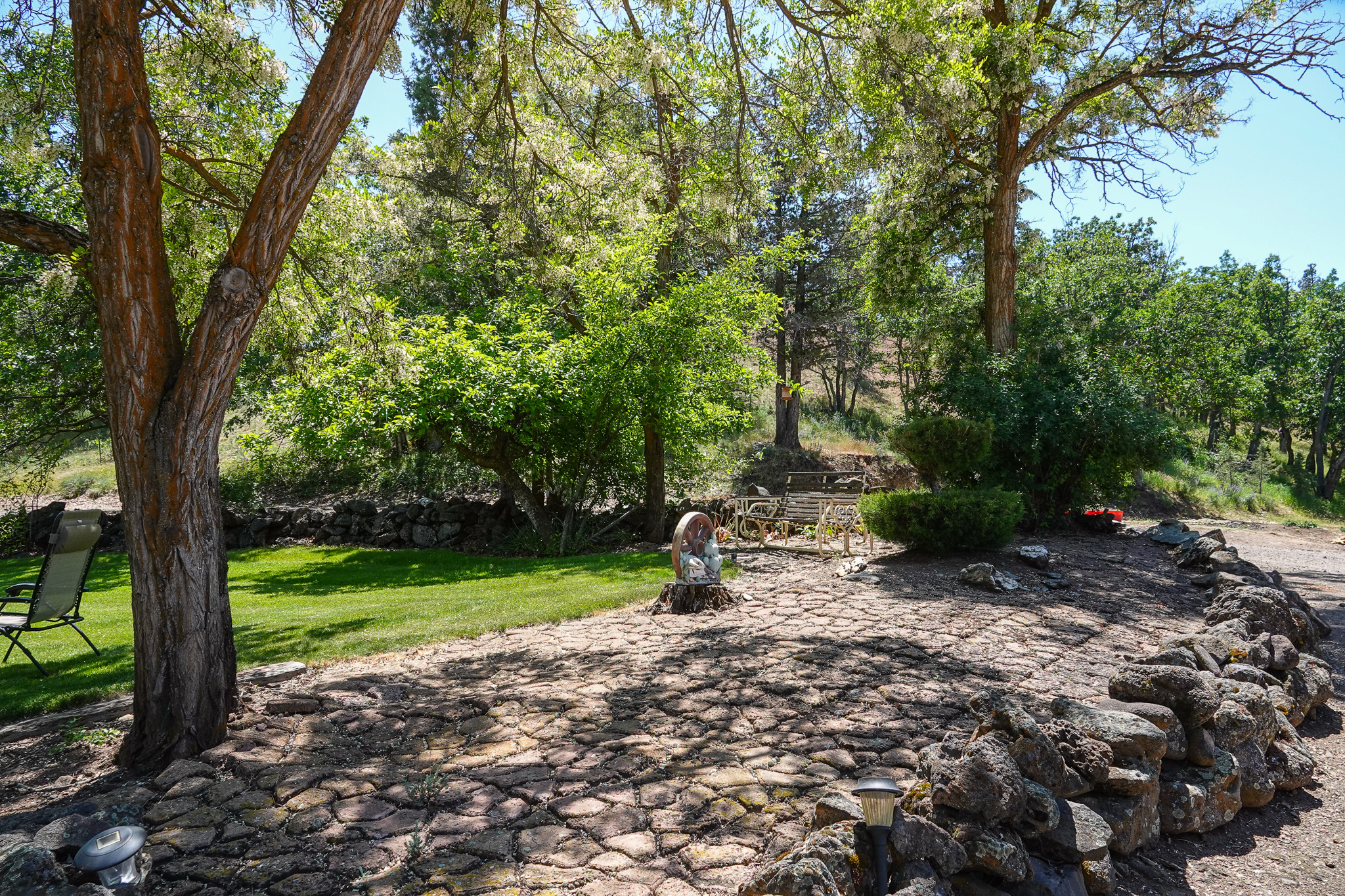 MJ Ranch