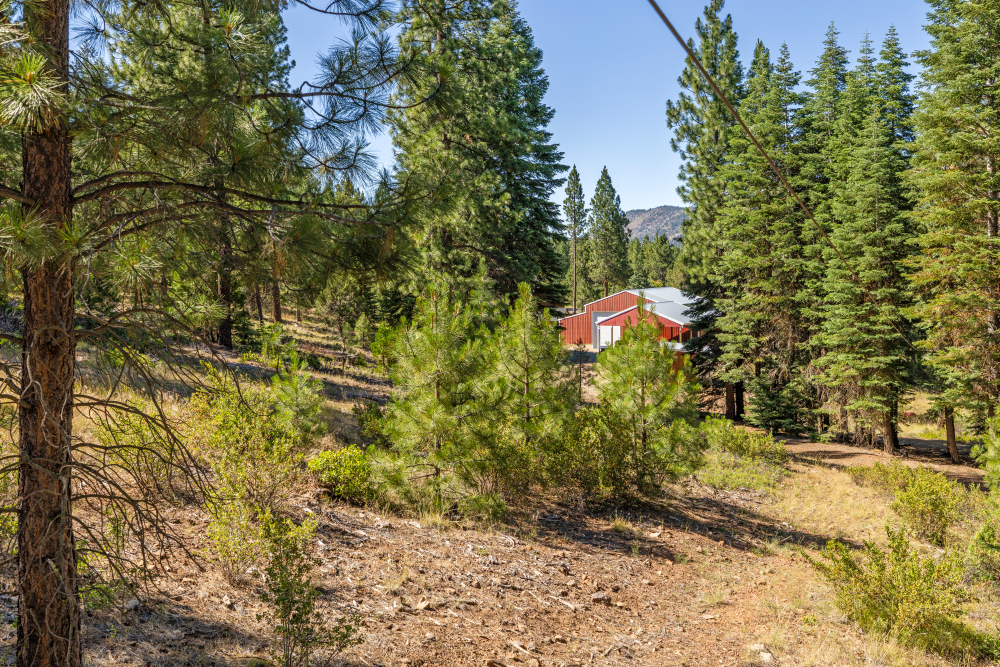 Listing Image 71