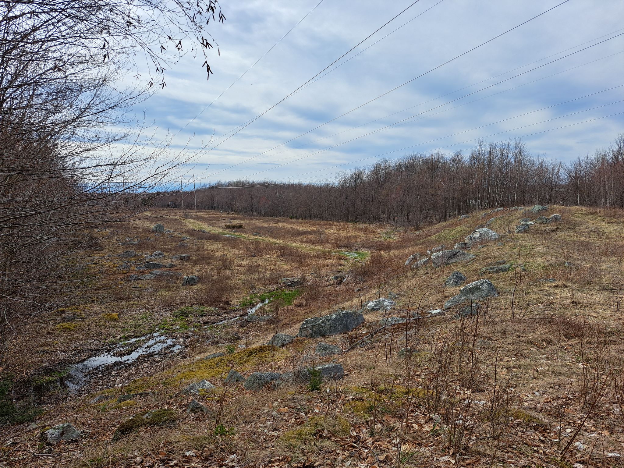 Listing Image 45