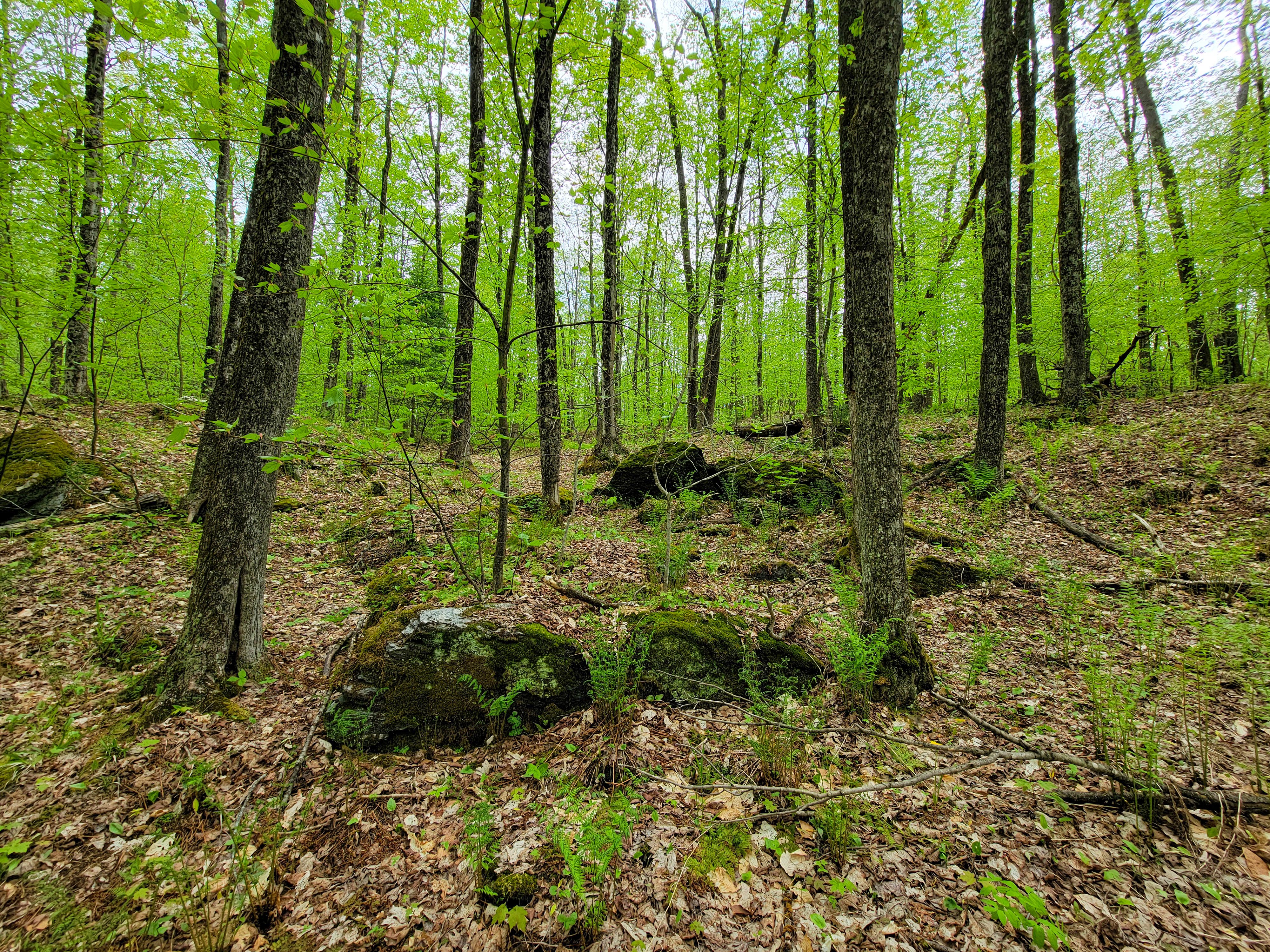 Listing Image 57