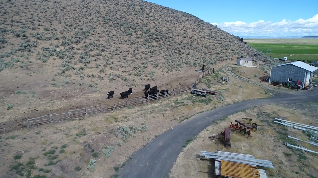 60646 Anderson Valley Rd, Princeton, OR