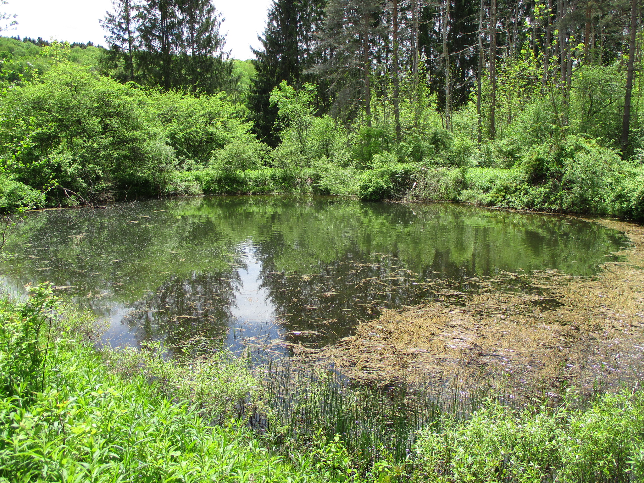 Legacy Land and Cabin