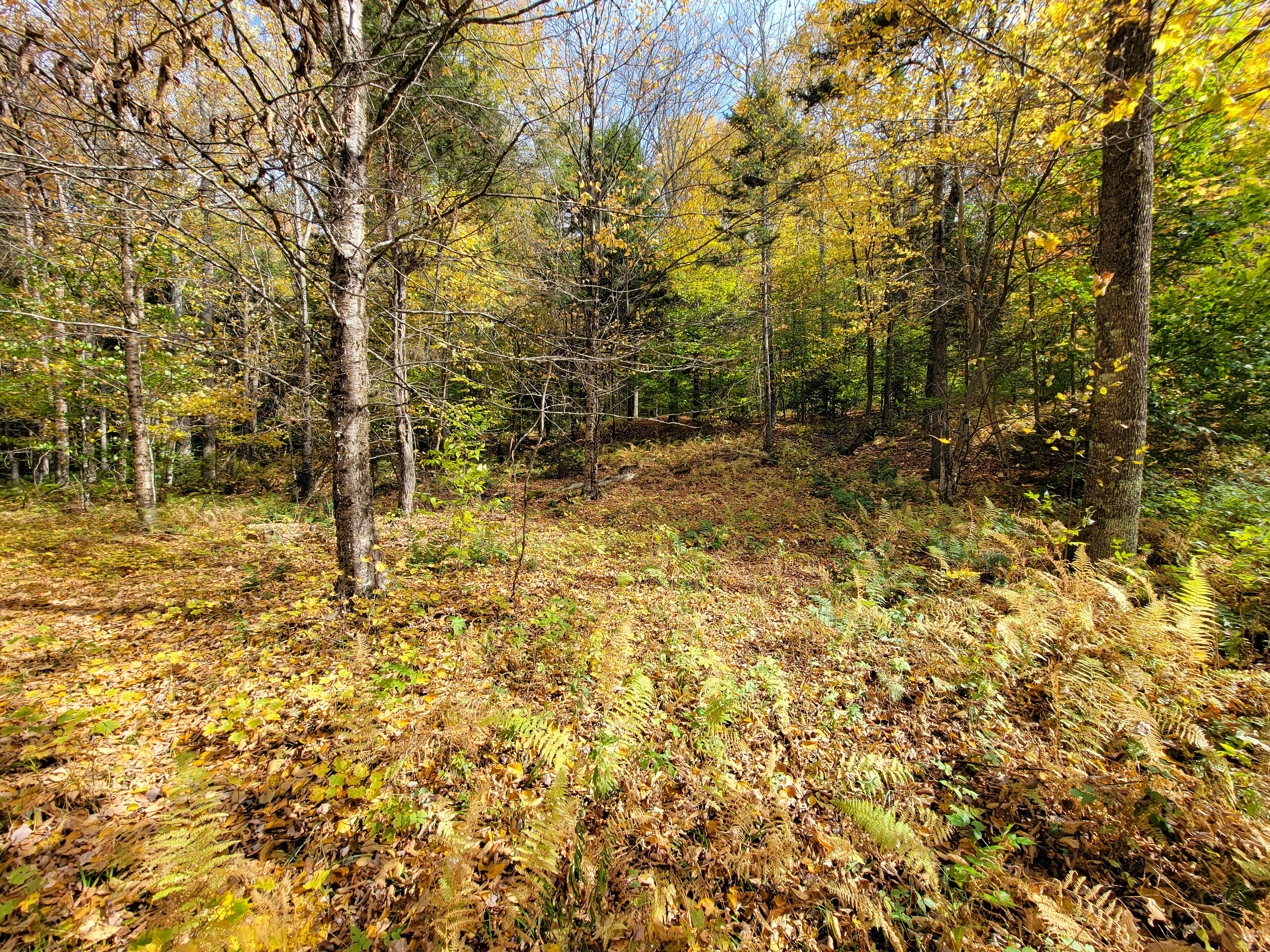 Listing Image 47