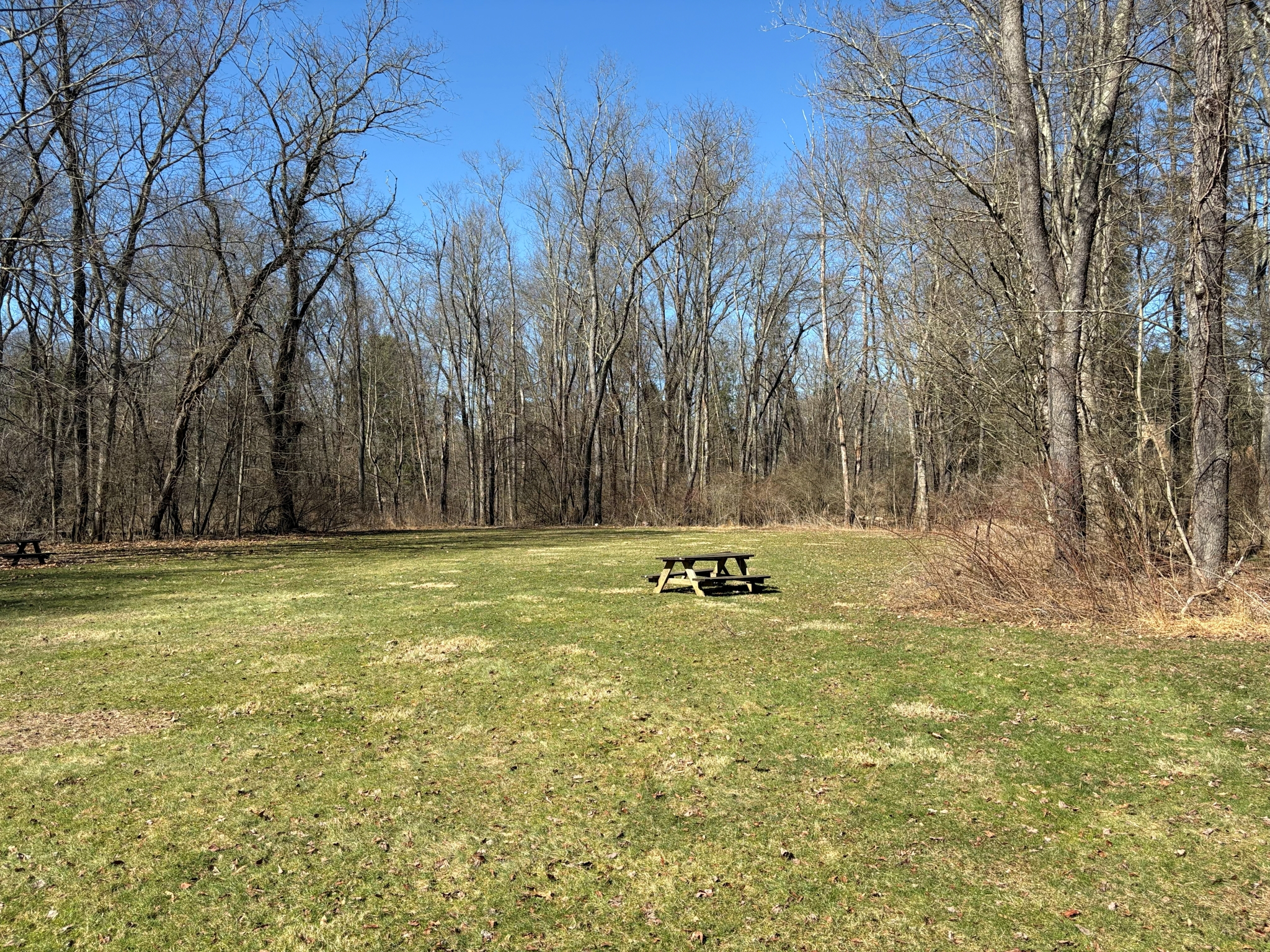 Listing Image 56