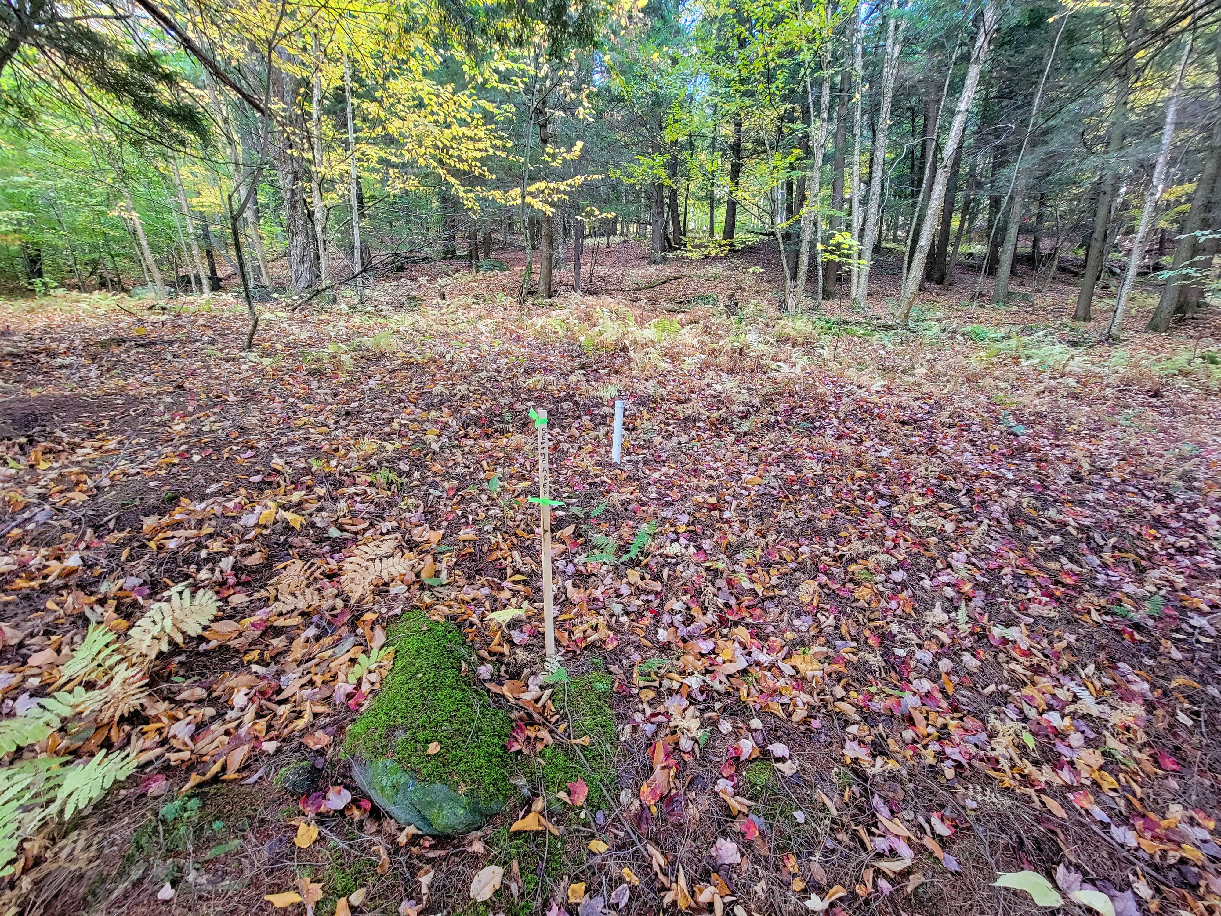 Listing Image 38