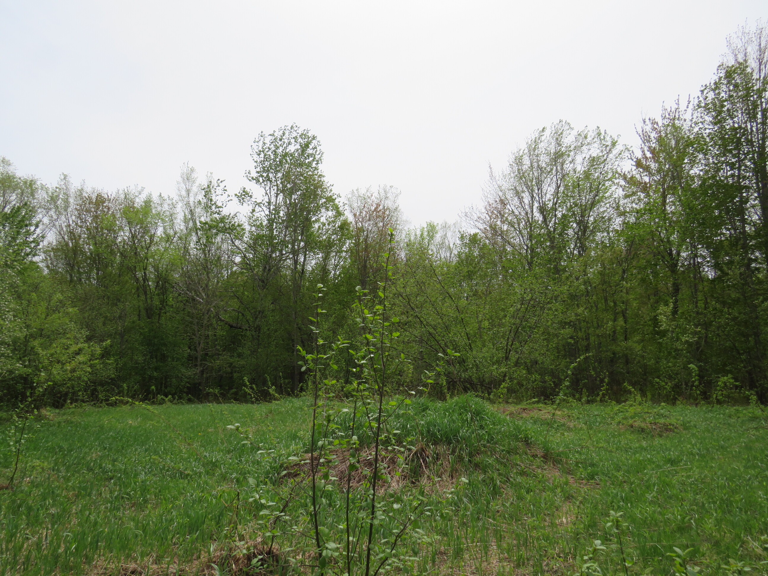 Michigan Recreational Property 50165363