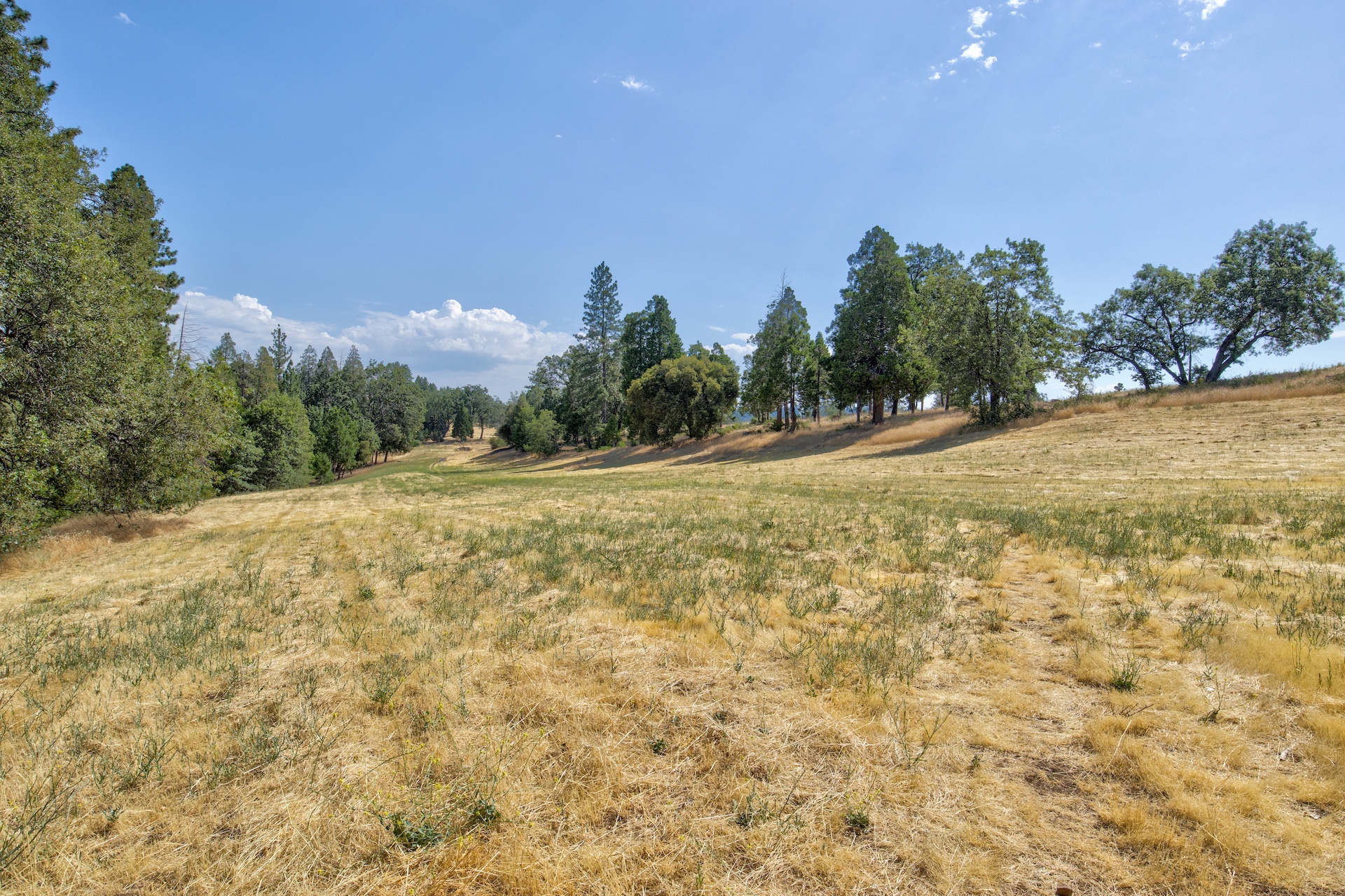 Listing Image 45