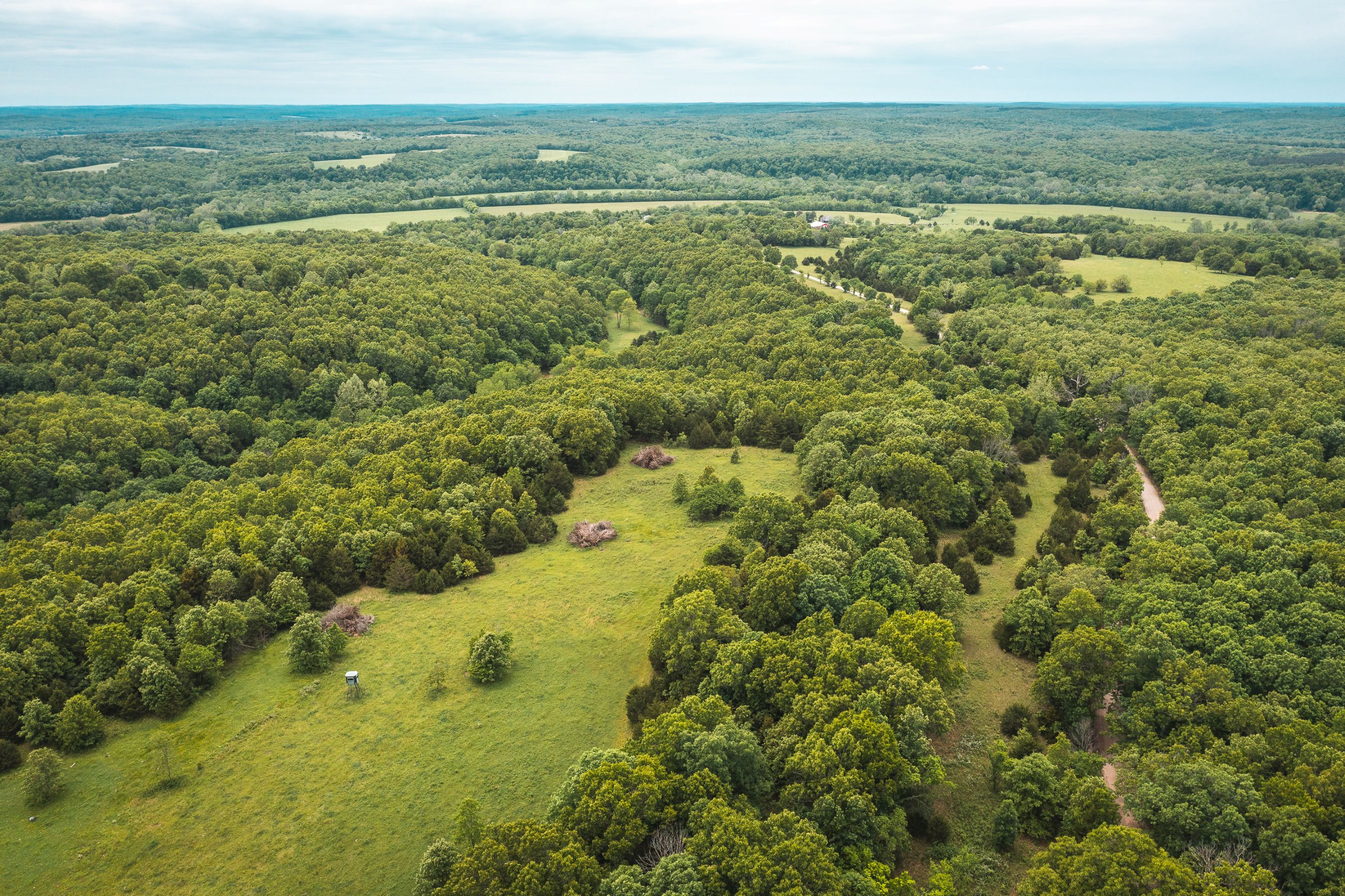 Gasconade Angus Ranch