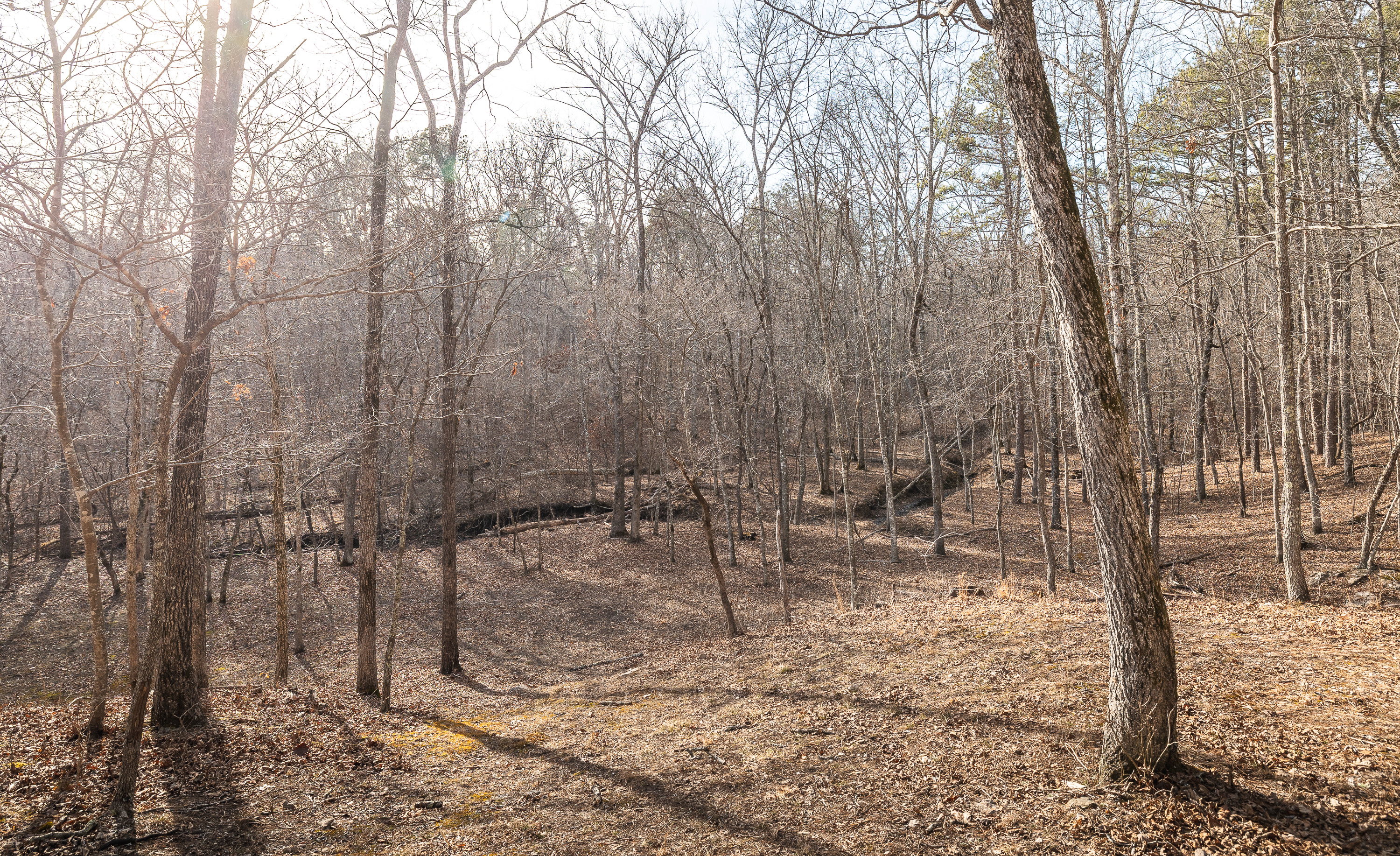 Curly Hole Camp at Peterball Spring