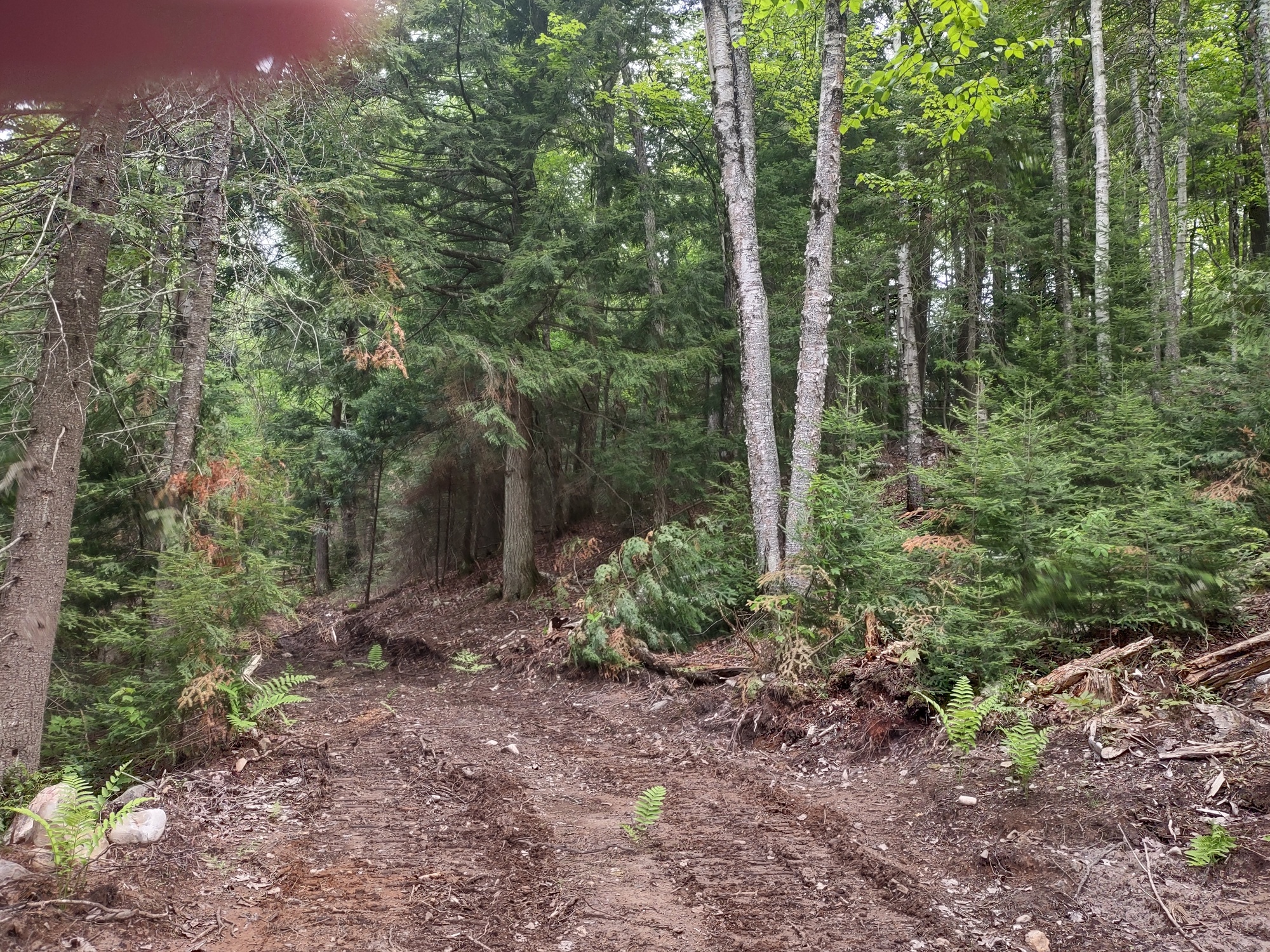 Michigan Private Lake Lot  50178194