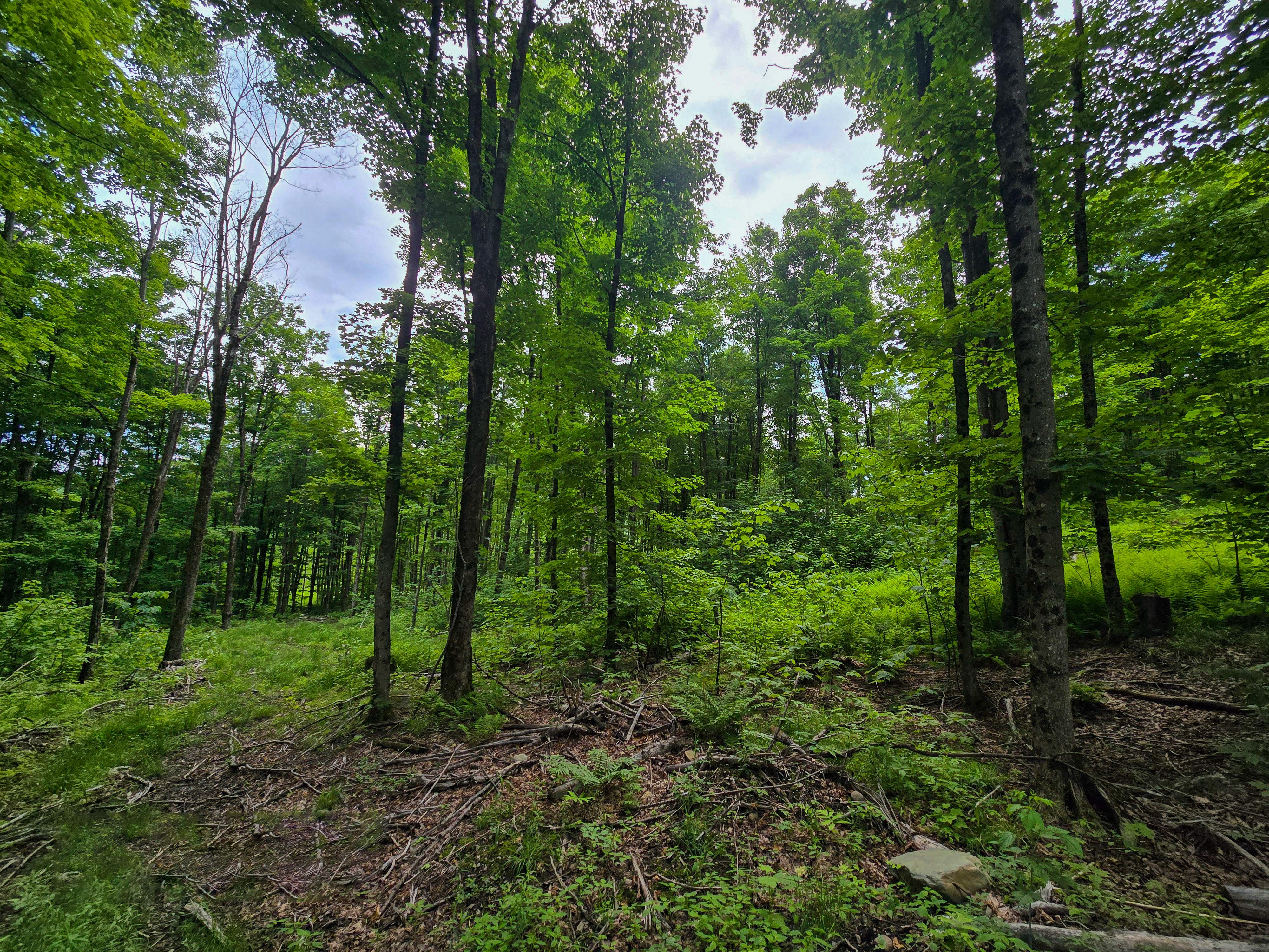 Listing Image 14