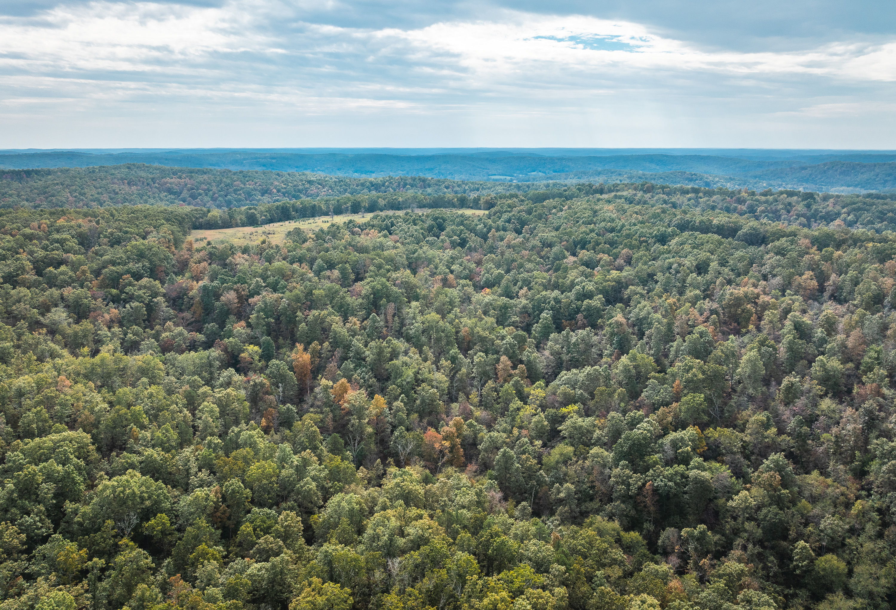 Little Gladden Creek Hunter