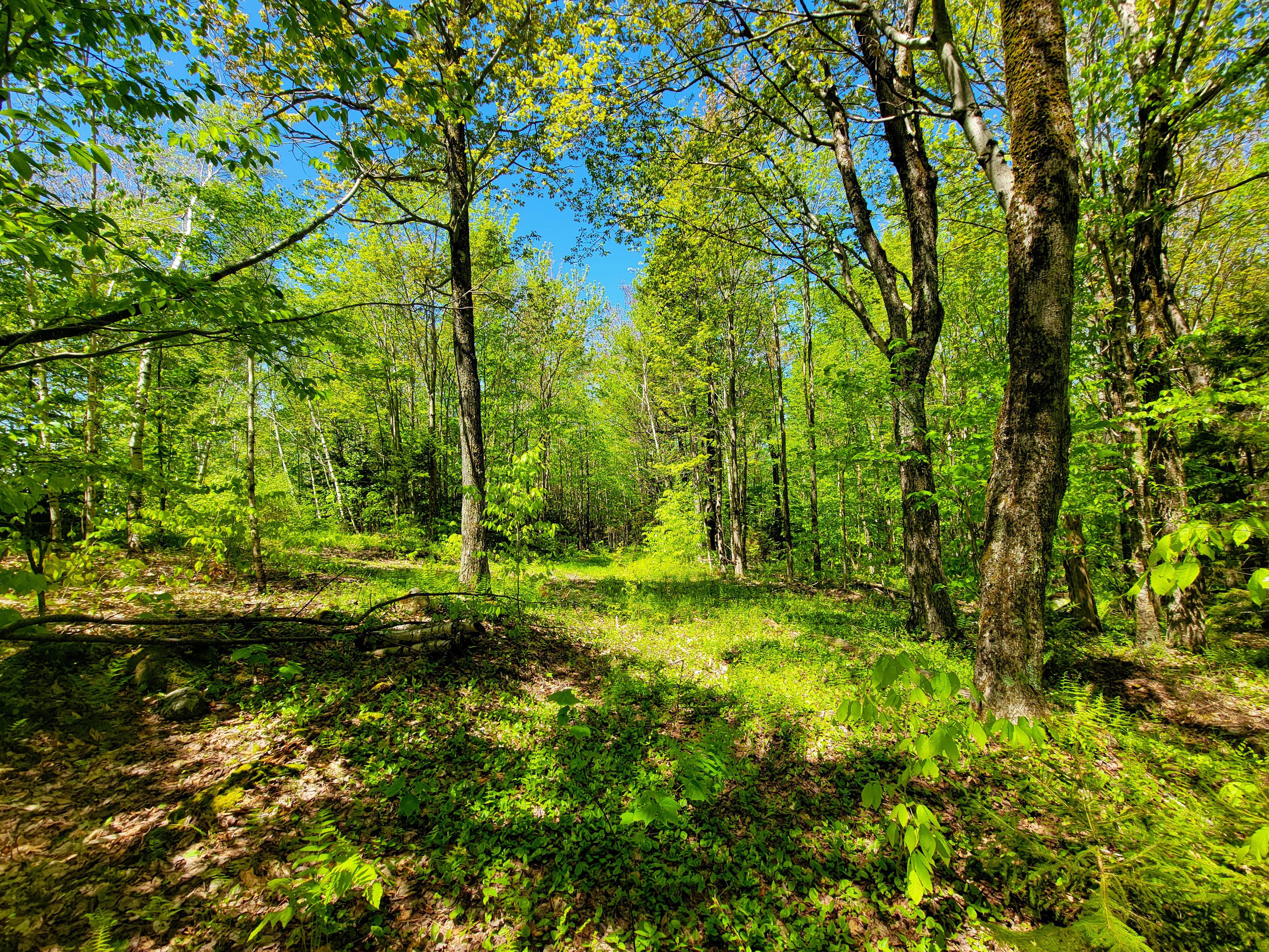 925 Hathaway Rd - Goshen