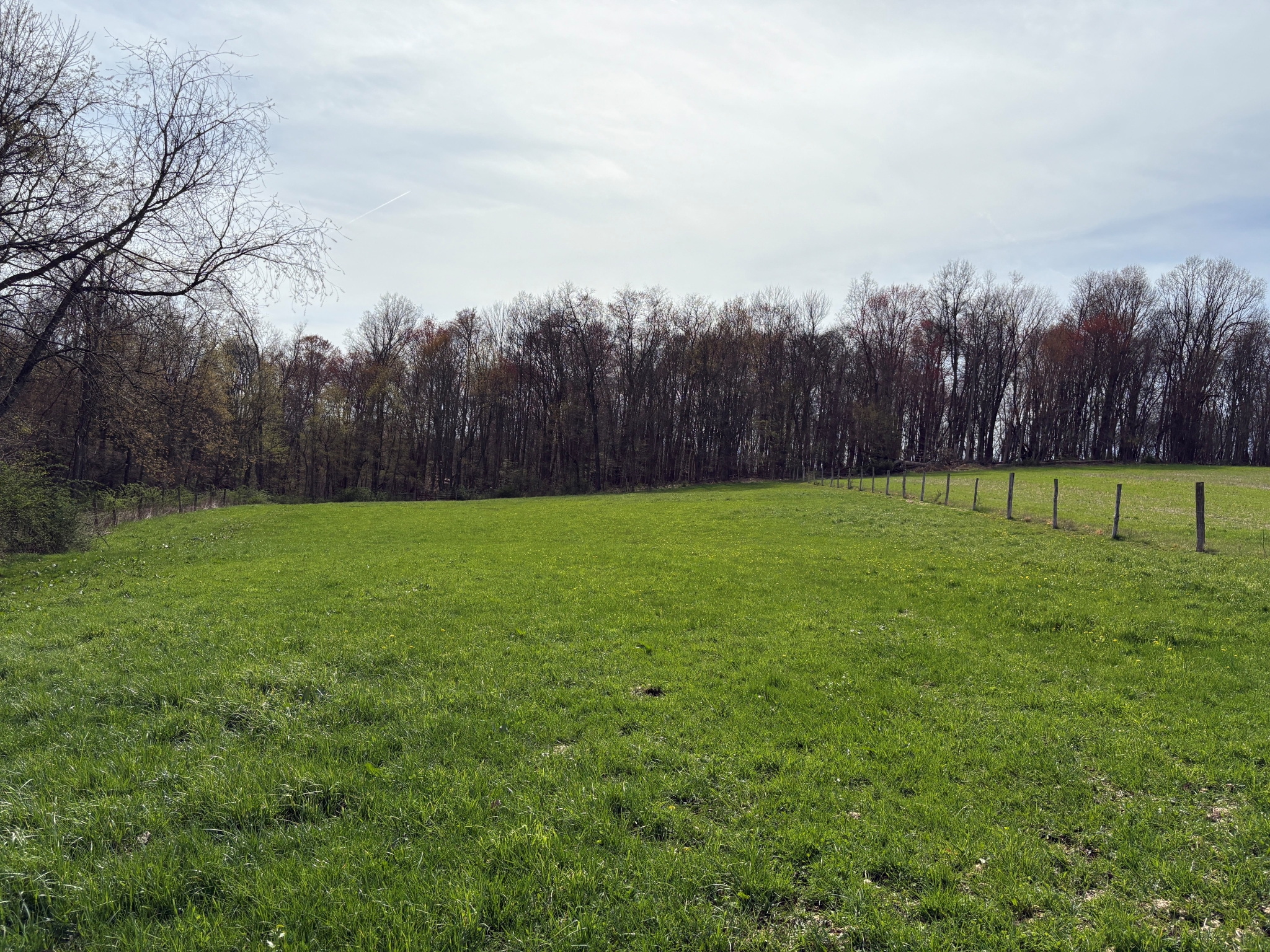 Country Living