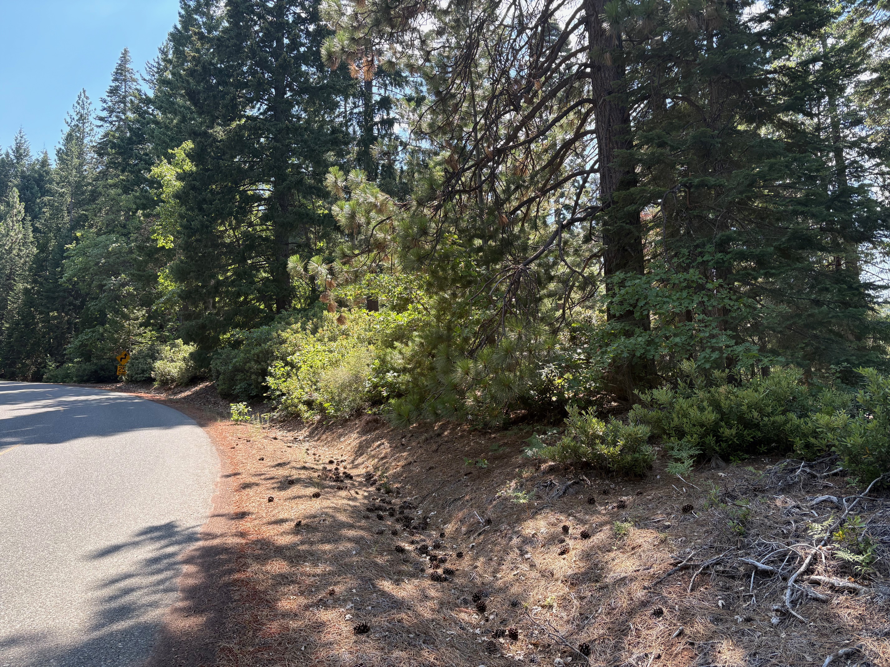 40 Acres Siskiyou (410)