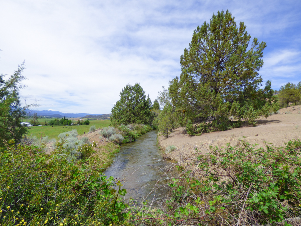 Blacktail Hills Retreat