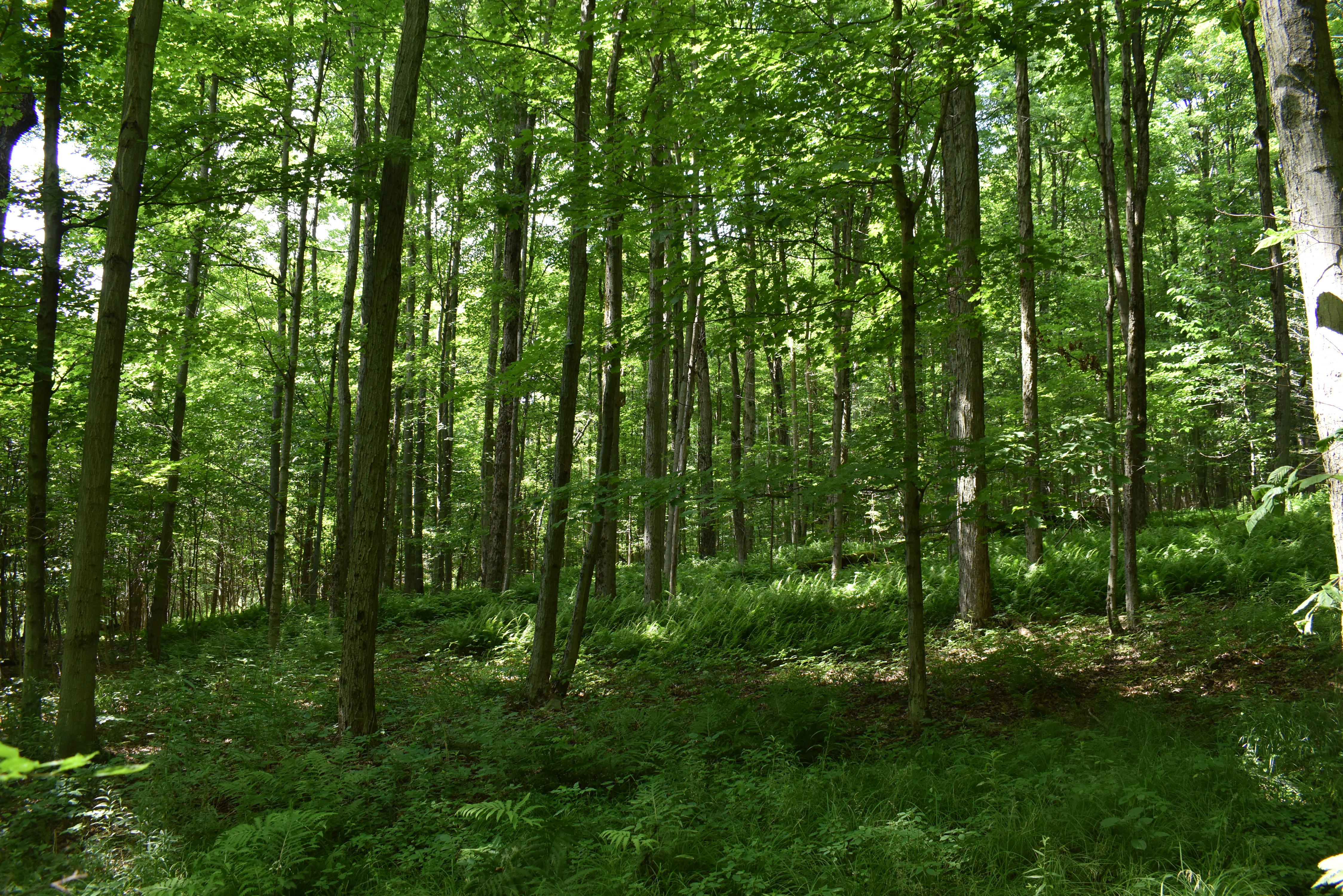 Listing Image 17
