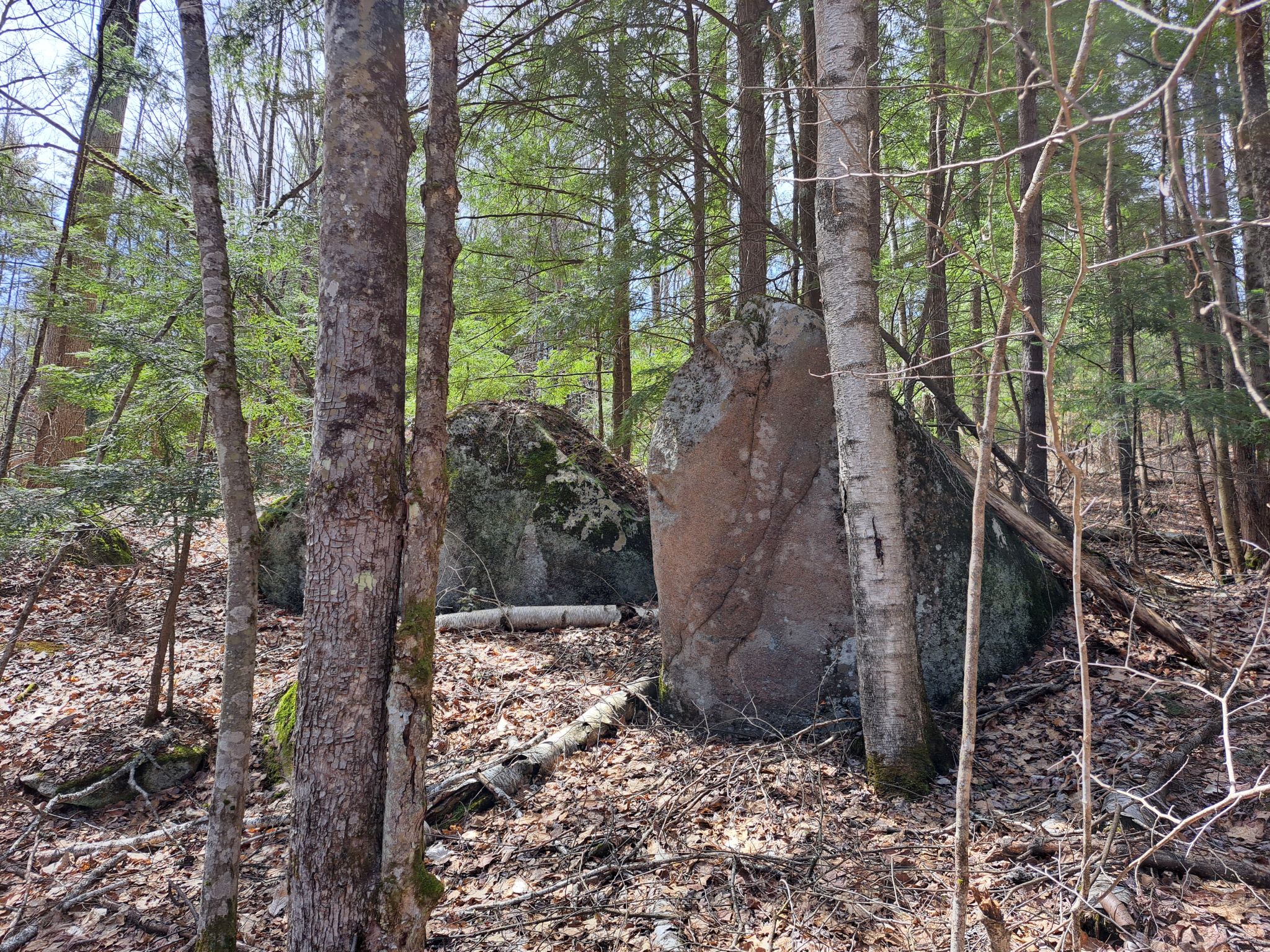 Listing Image 25