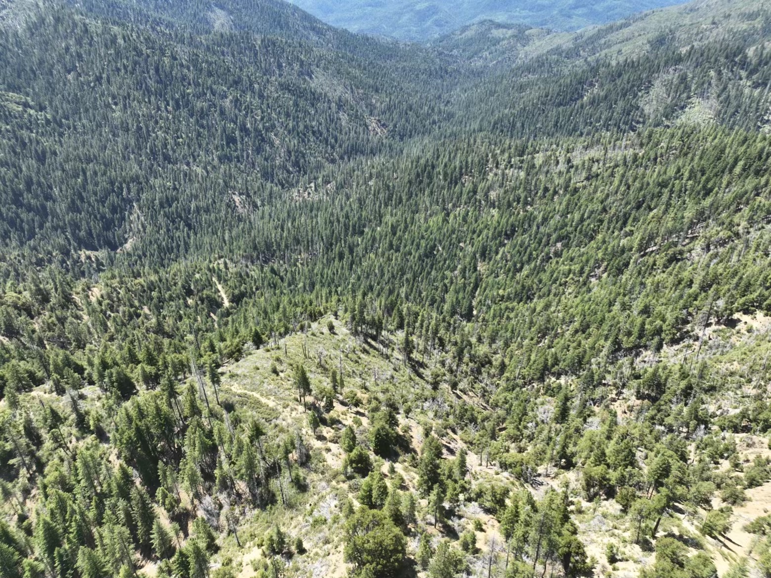 160 Acres Hyampom