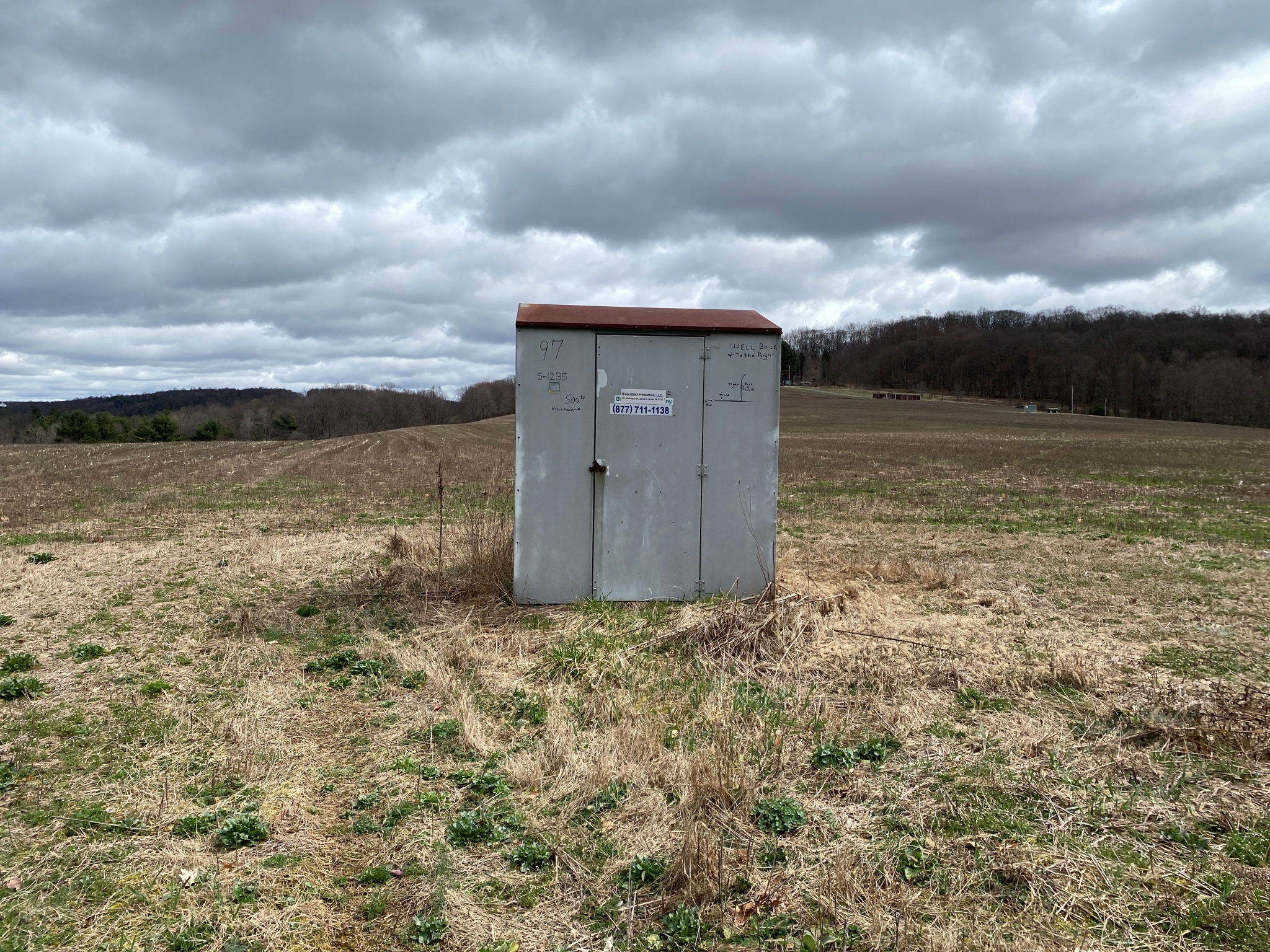 Mark's Meadow