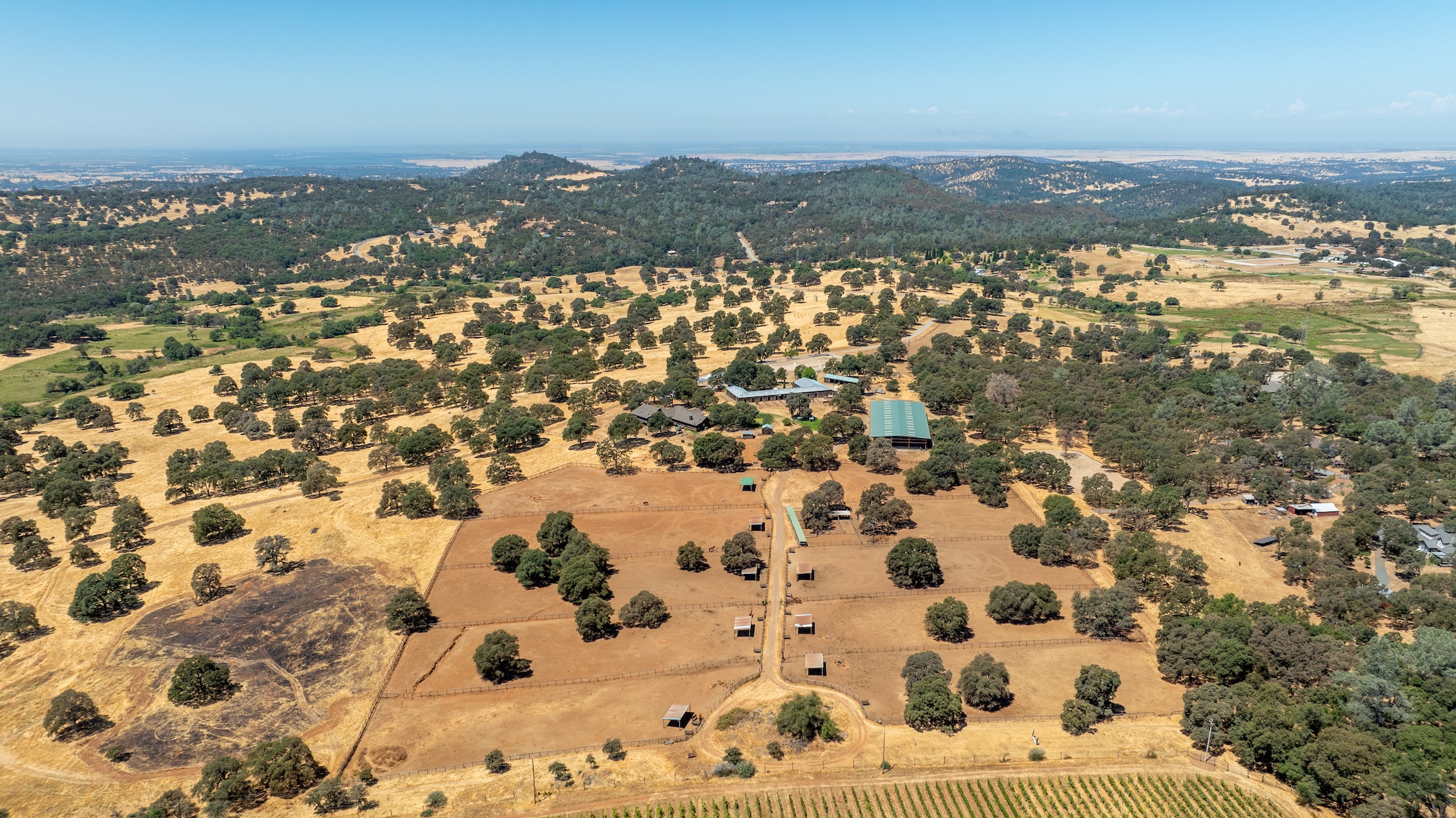 Blue Fountain Farm