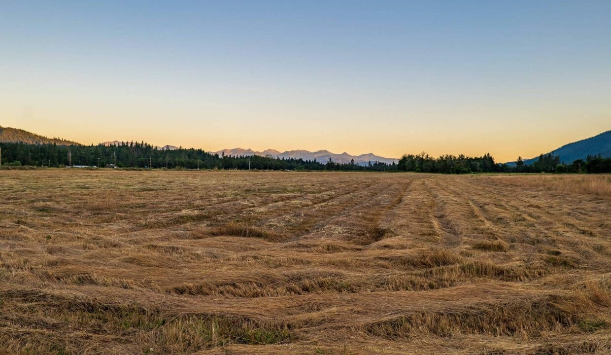 Sauer's Flat Farm & Ranch