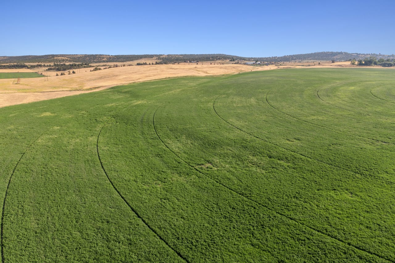 NE Cherry Lane - Productive Irrigated Farm for Sale