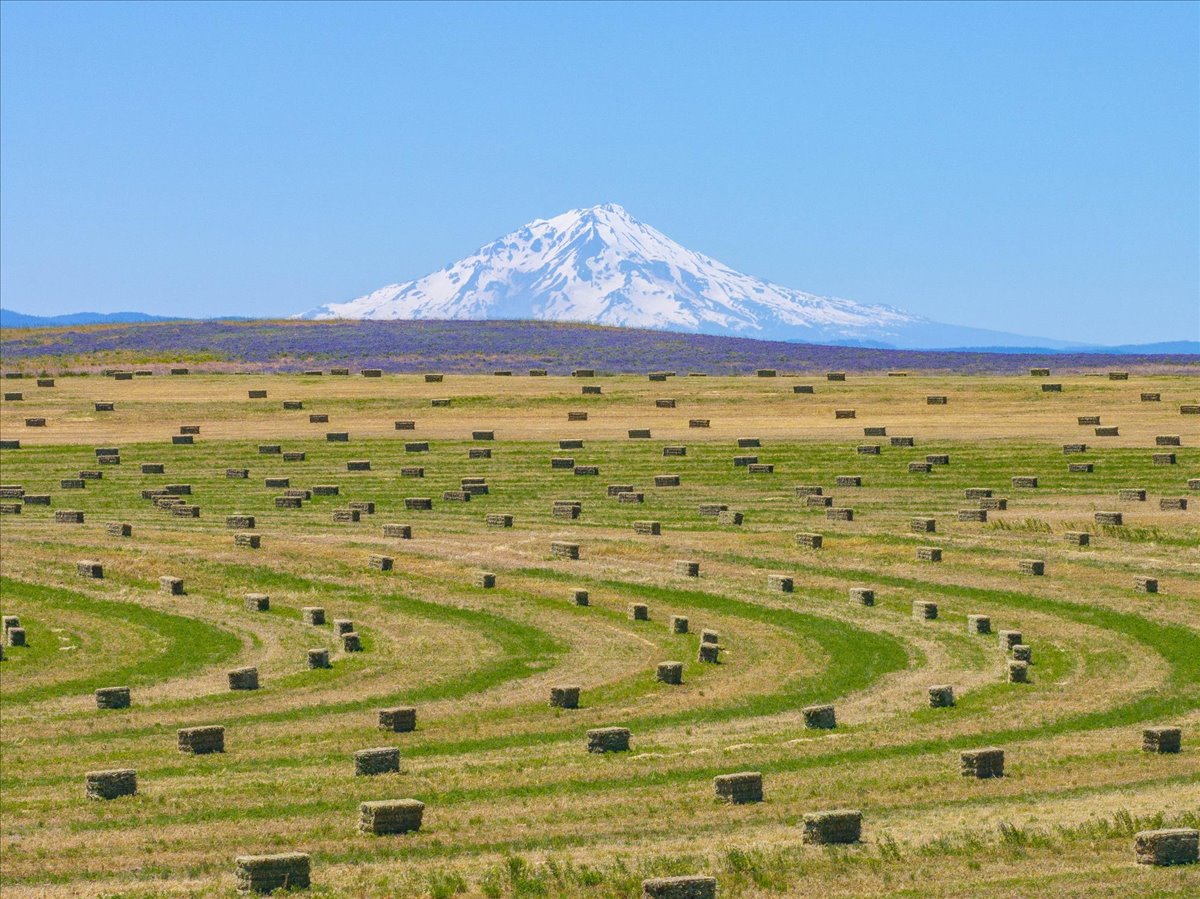 Mystic Mountain Ranch