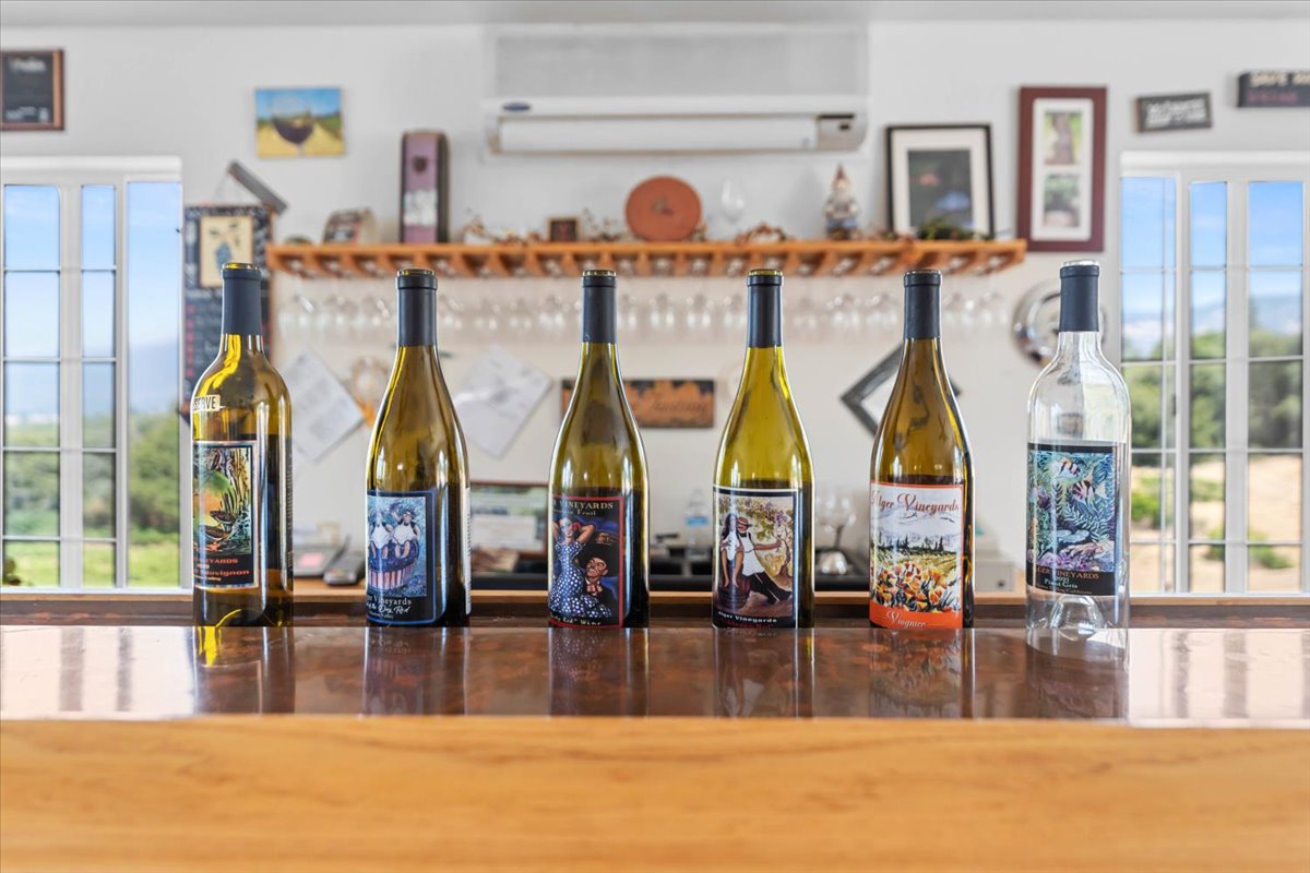 Alger Vineyards and More