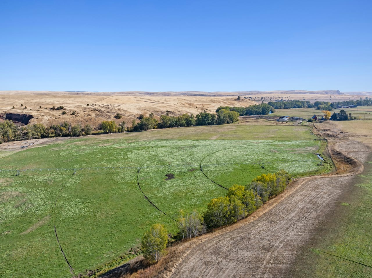 Listing Image 6
