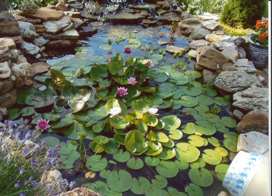 Verdant Bloom Retreat