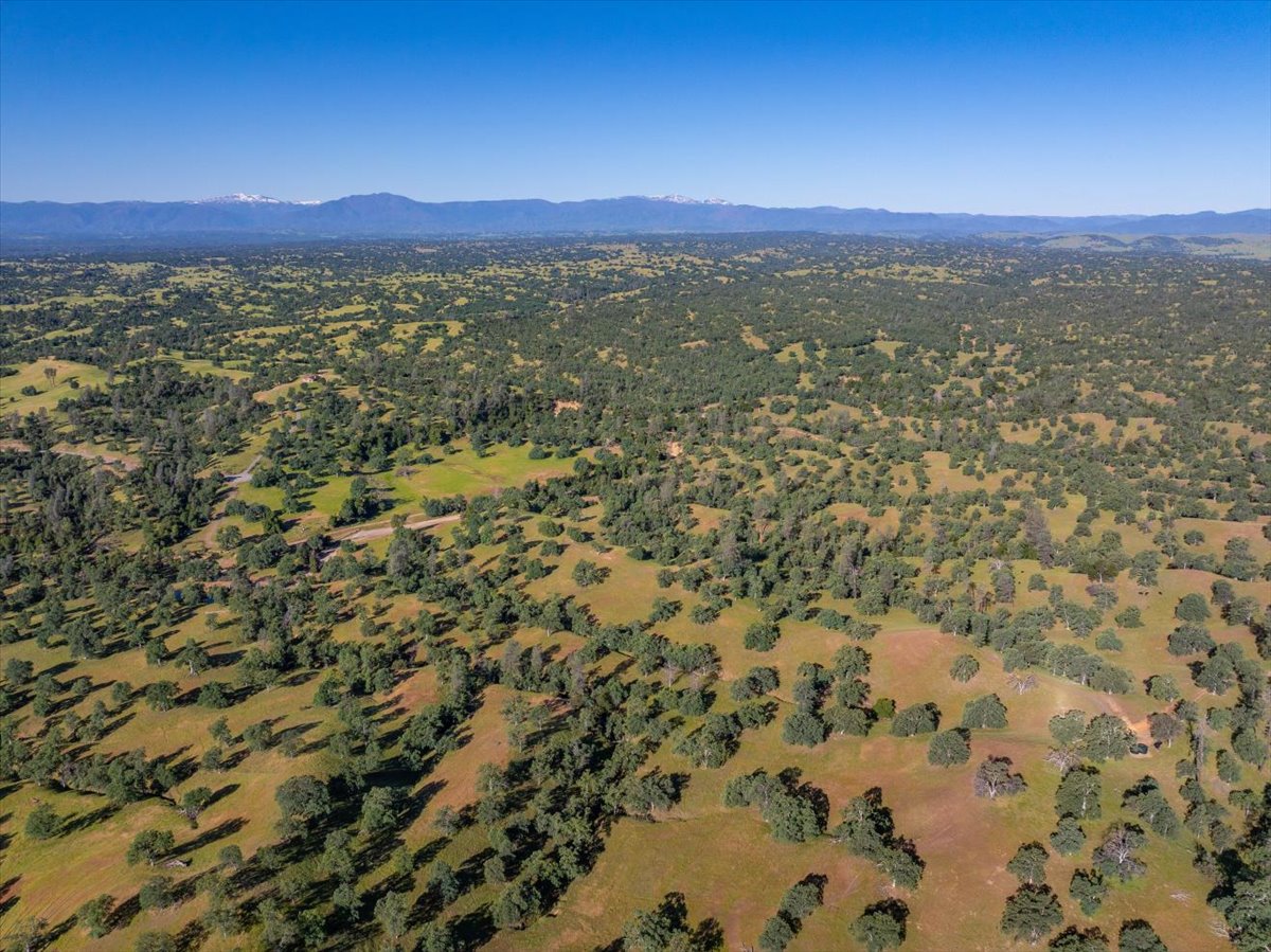 Davis Ranch Road